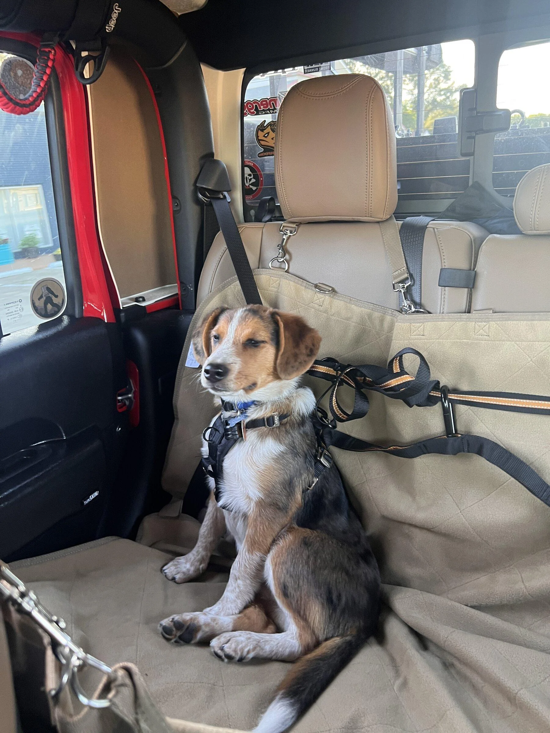 Jeep Gladiator Let’s see your pets cause they are the best companion you can have!!!!! A2FF84B4-0C2D-403C-AF23-815CC4B97877