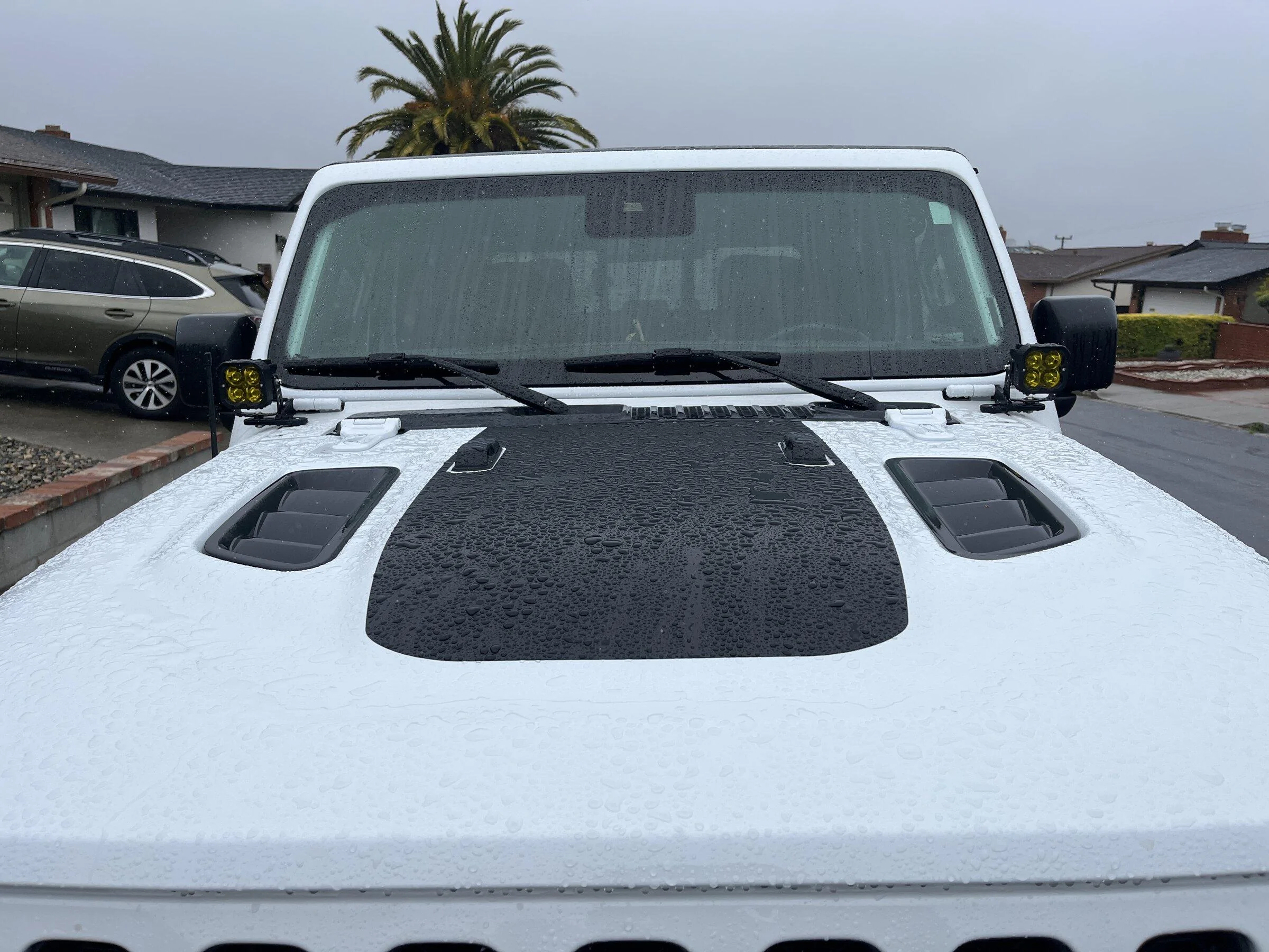 Jeep Gladiator What did you do TO your Gladiator today? [ADMIN WARNING: NO POLITICS, NO GUN TALK] AA970B2F-AE8C-4C5A-B4B6-75A4C3B485E8