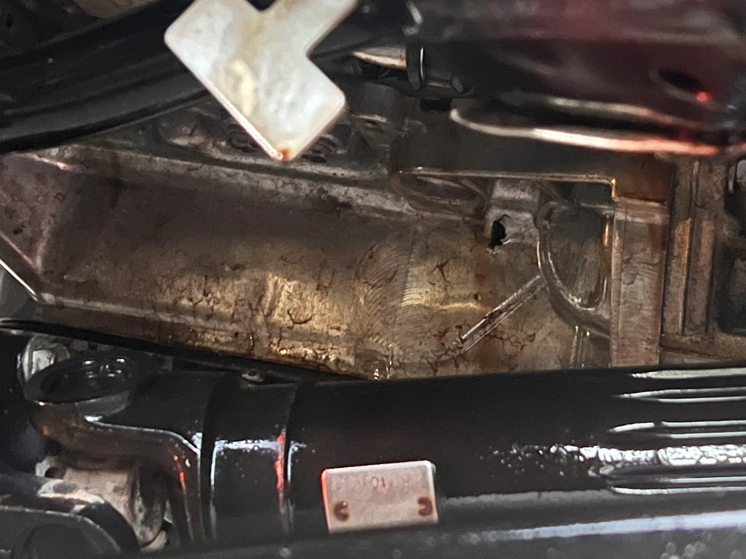 Jeep Gladiator Mark another one dead BD2D91BF-3EBC-42F6-B53C-ED74F3417190