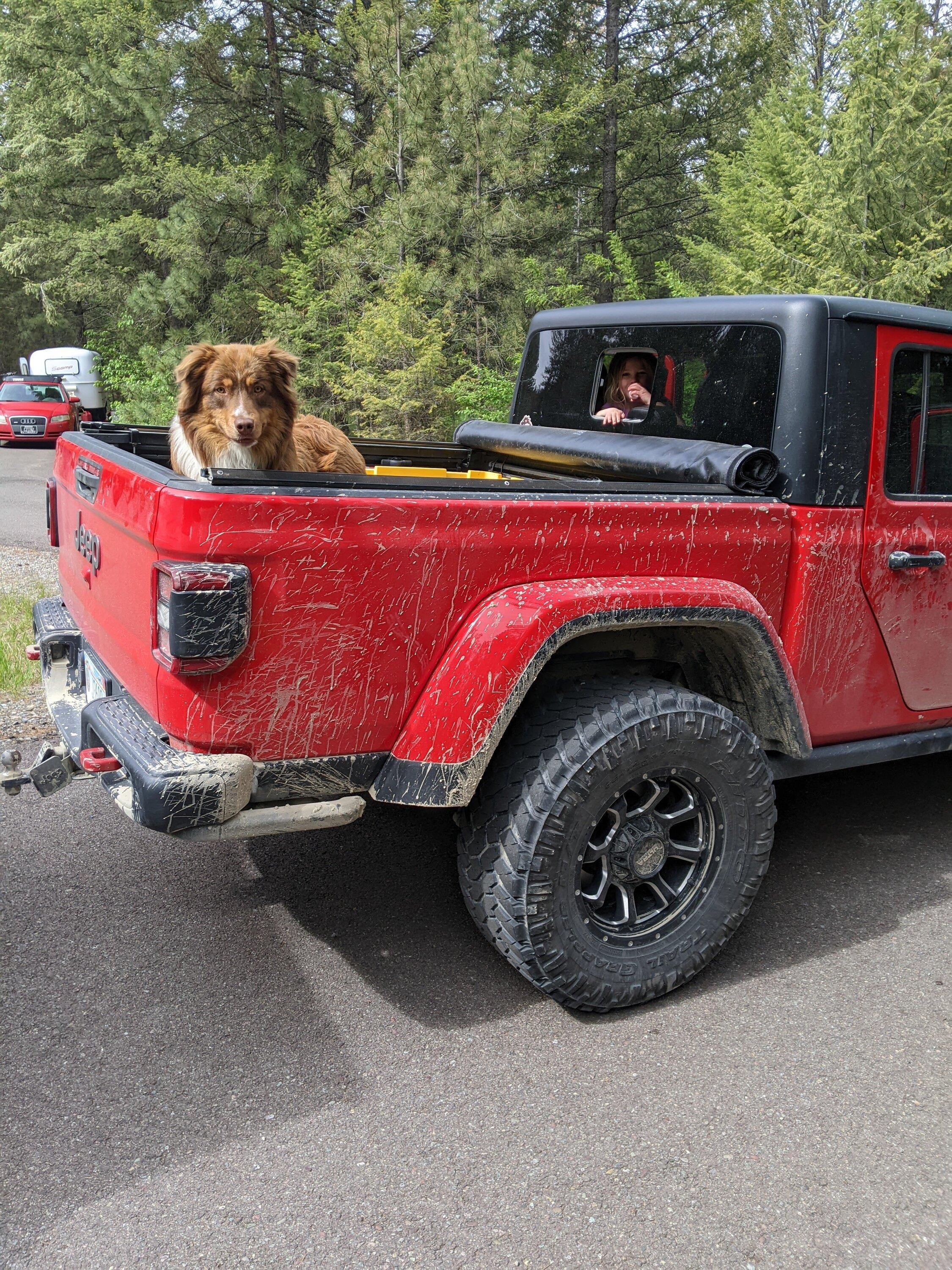 Jeep Gladiator Let’s see your pets cause they are the best companion you can have!!!!! PXL_20220529_170031109