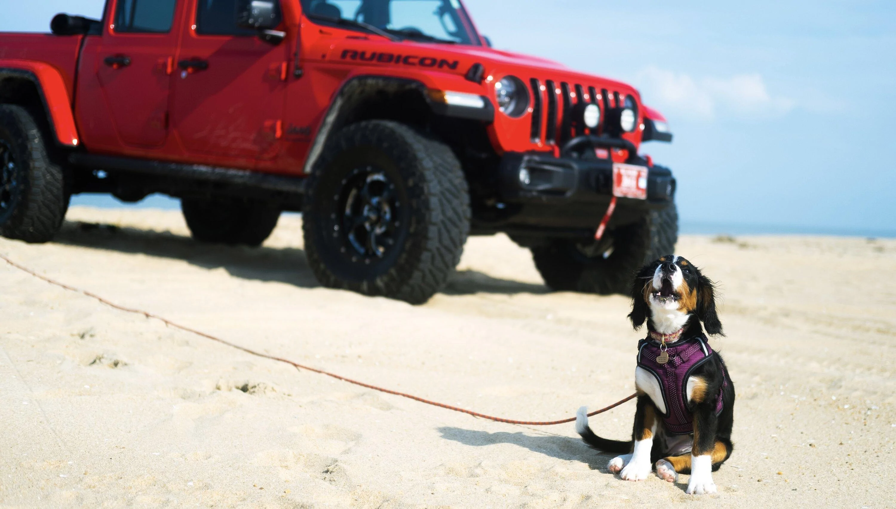 Jeep Gladiator FIRECRACKER RED Gladiator JT Club A5AC8A89-A9BC-4EE0-BEE1-9603C3816895