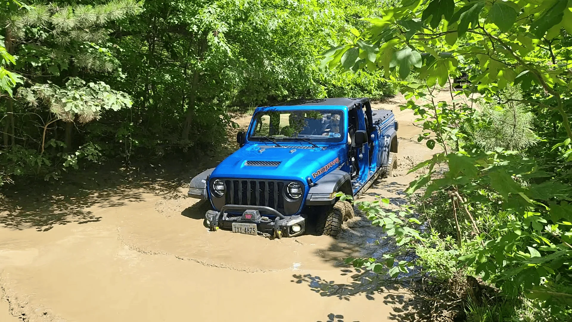 Jeep Gladiator Bald Mountain (Big Levels) GWNF - VA vlcsnap-2022-06-21-10h45m36s512