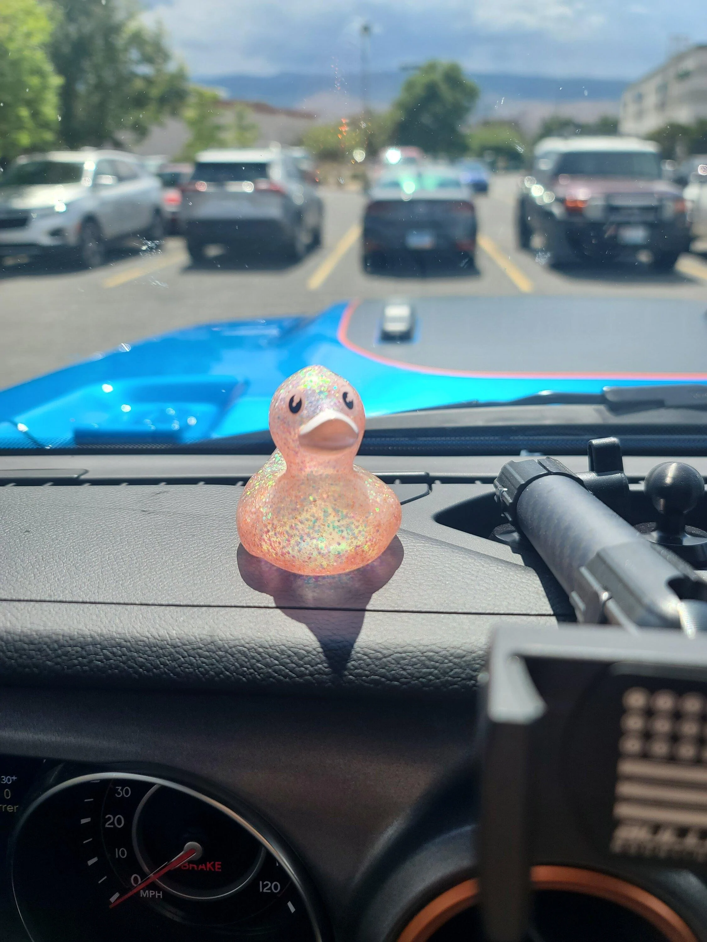 Jeep Gladiator Show me your DUCKS ! 16560222933485786862860845330952