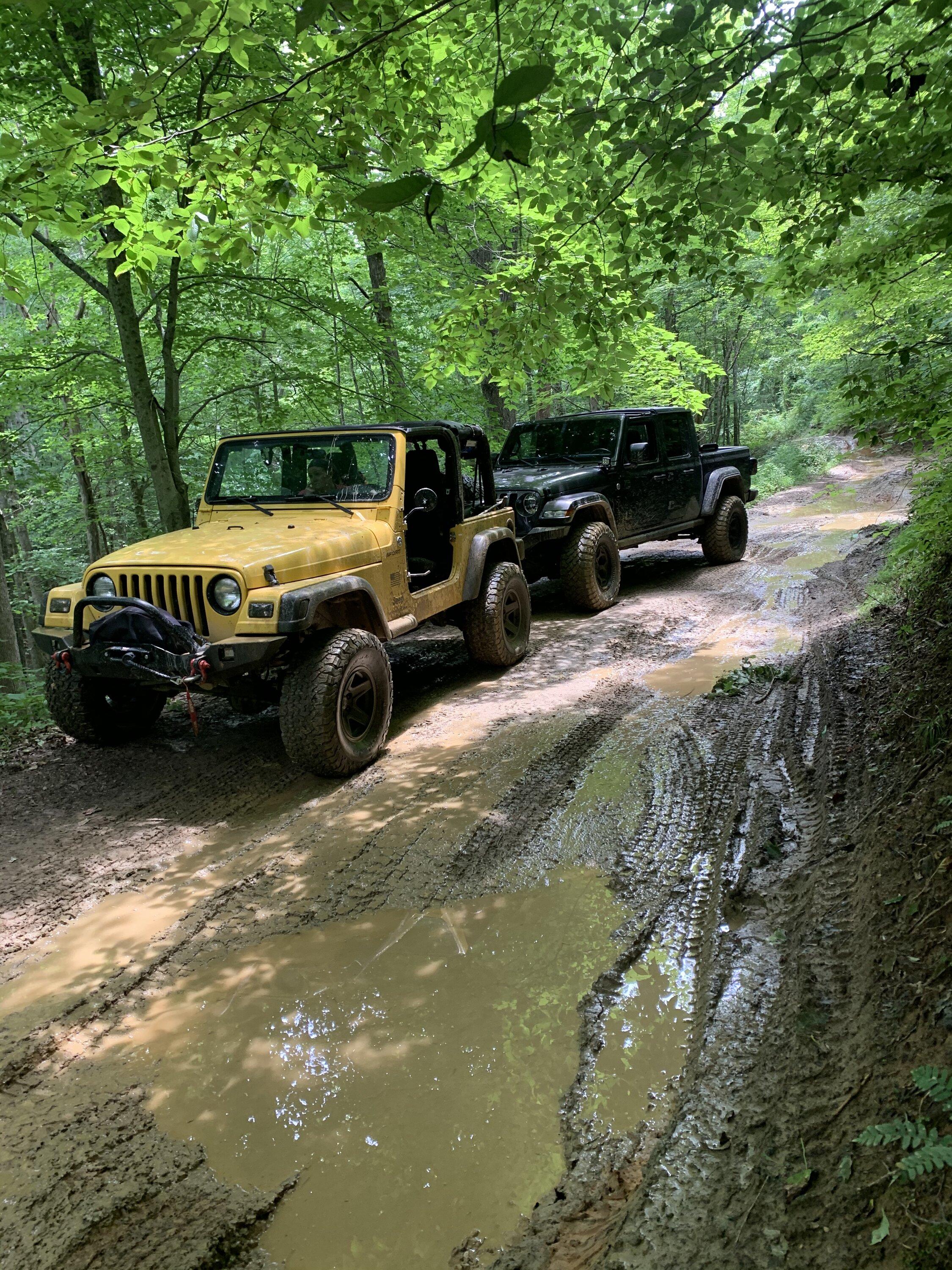 Jeep Gladiator Jeeps Parking Next To Jeeps 1AD0F917-C13A-4408-A140-180B8118F99B