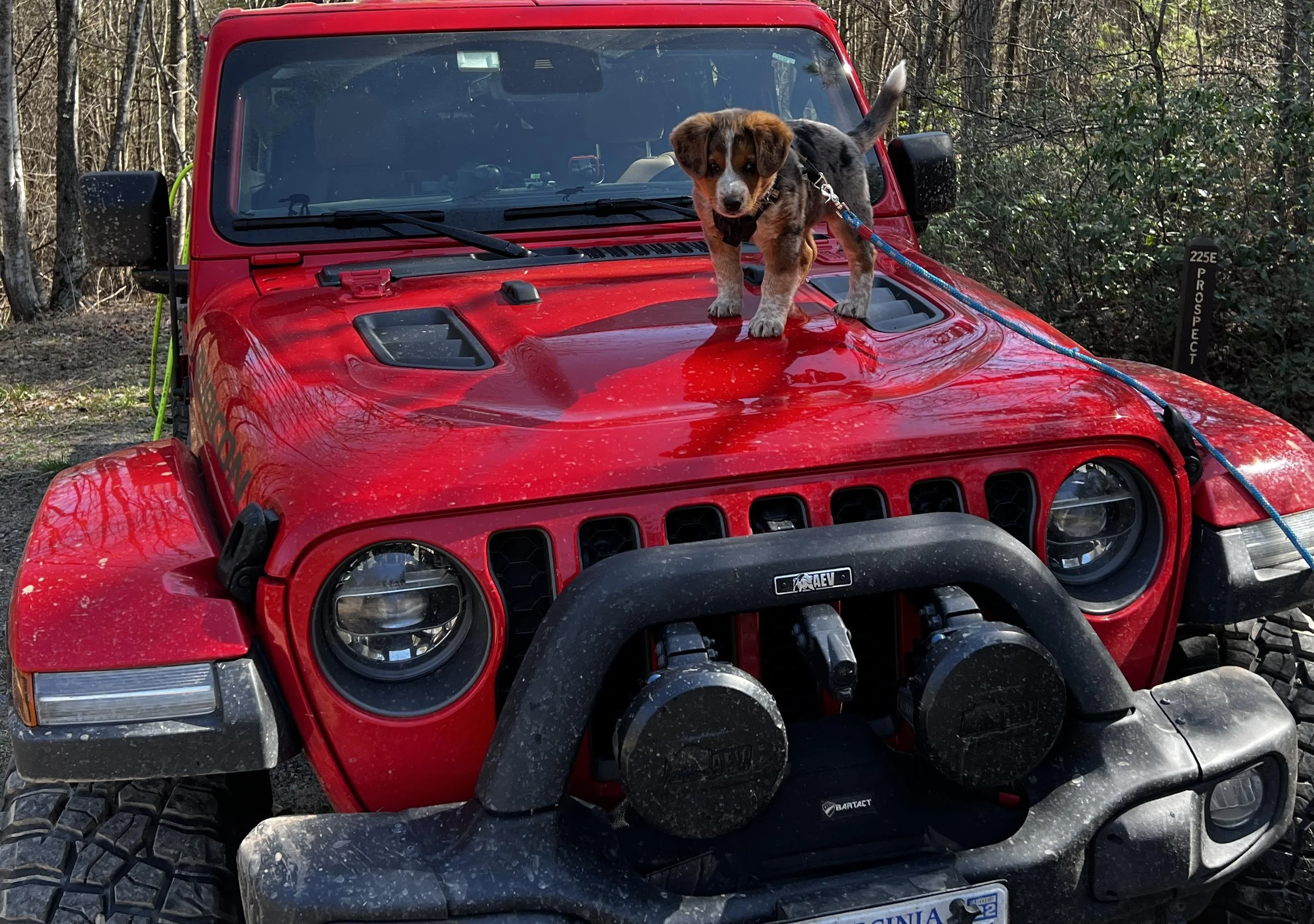 Jeep Gladiator Can the Bumper and Winch Cause Overheating? 3.0L EcoDiesel 231F9586-7D73-48A5-892B-D89BFF9EFFD8