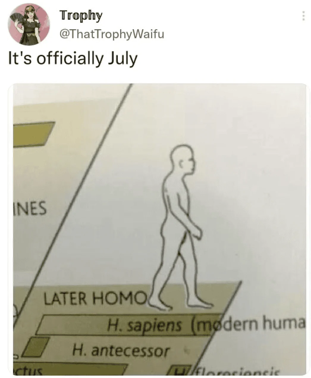 1656835519817.png