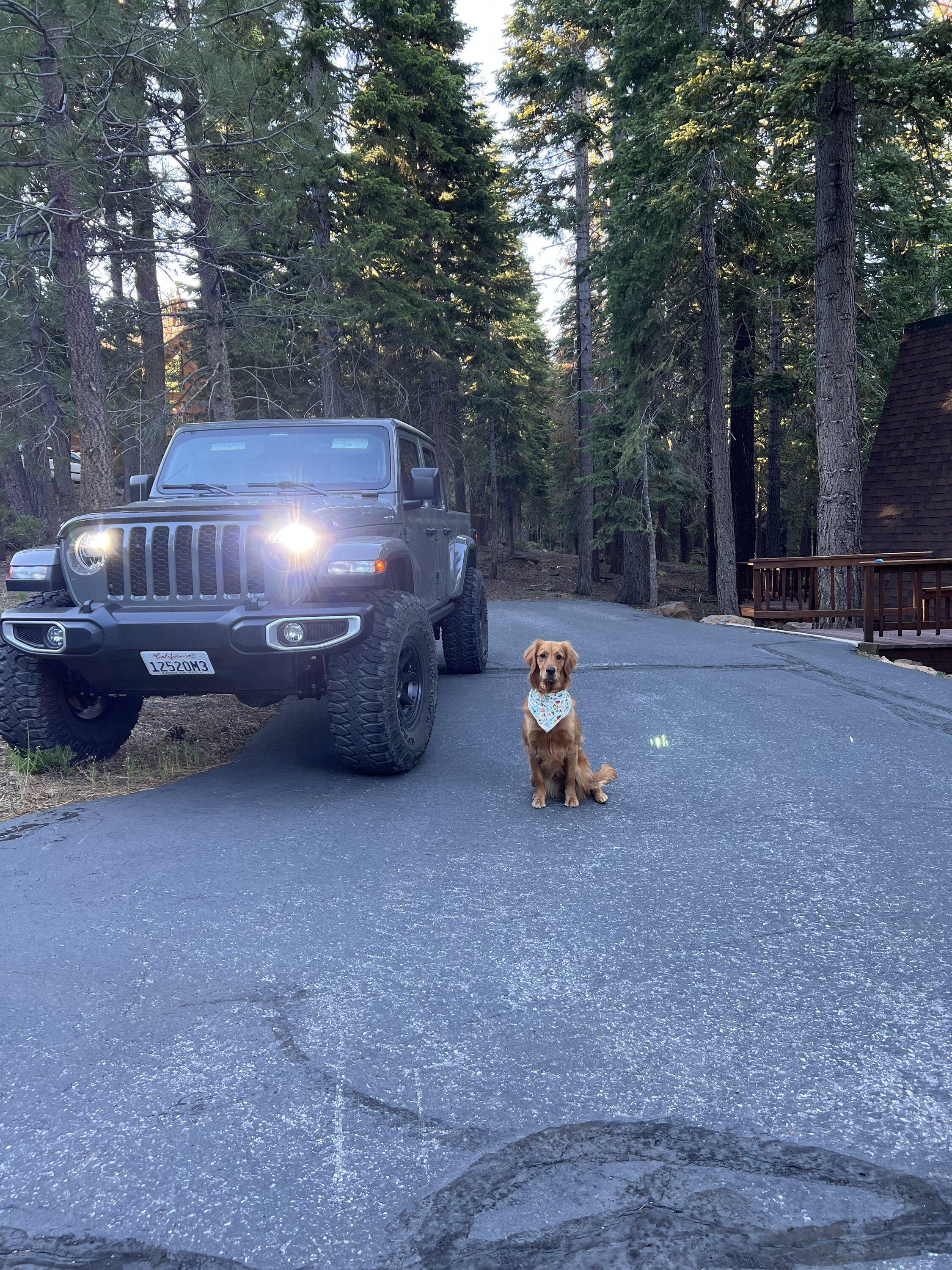 Jeep Gladiator Ecodiesel metal cloak dual rate 3.5” review. E322B128-B7E7-489D-B2D0-B25BF06DFDDB