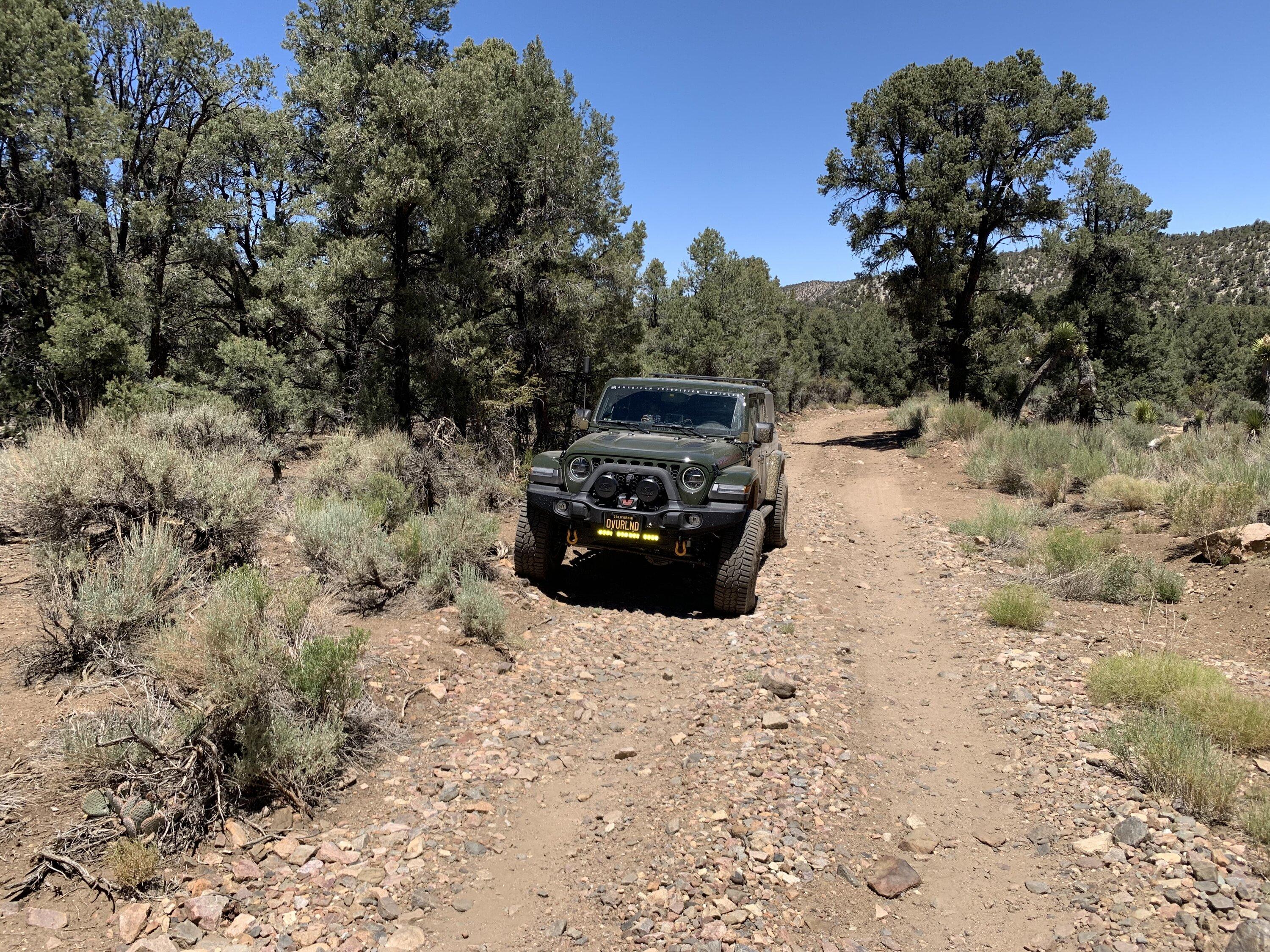 Jeep Gladiator Taking the plunge on wheels and tires. Holy moly… F53DC0BB-44A4-4DC5-A0D2-B924A3366145