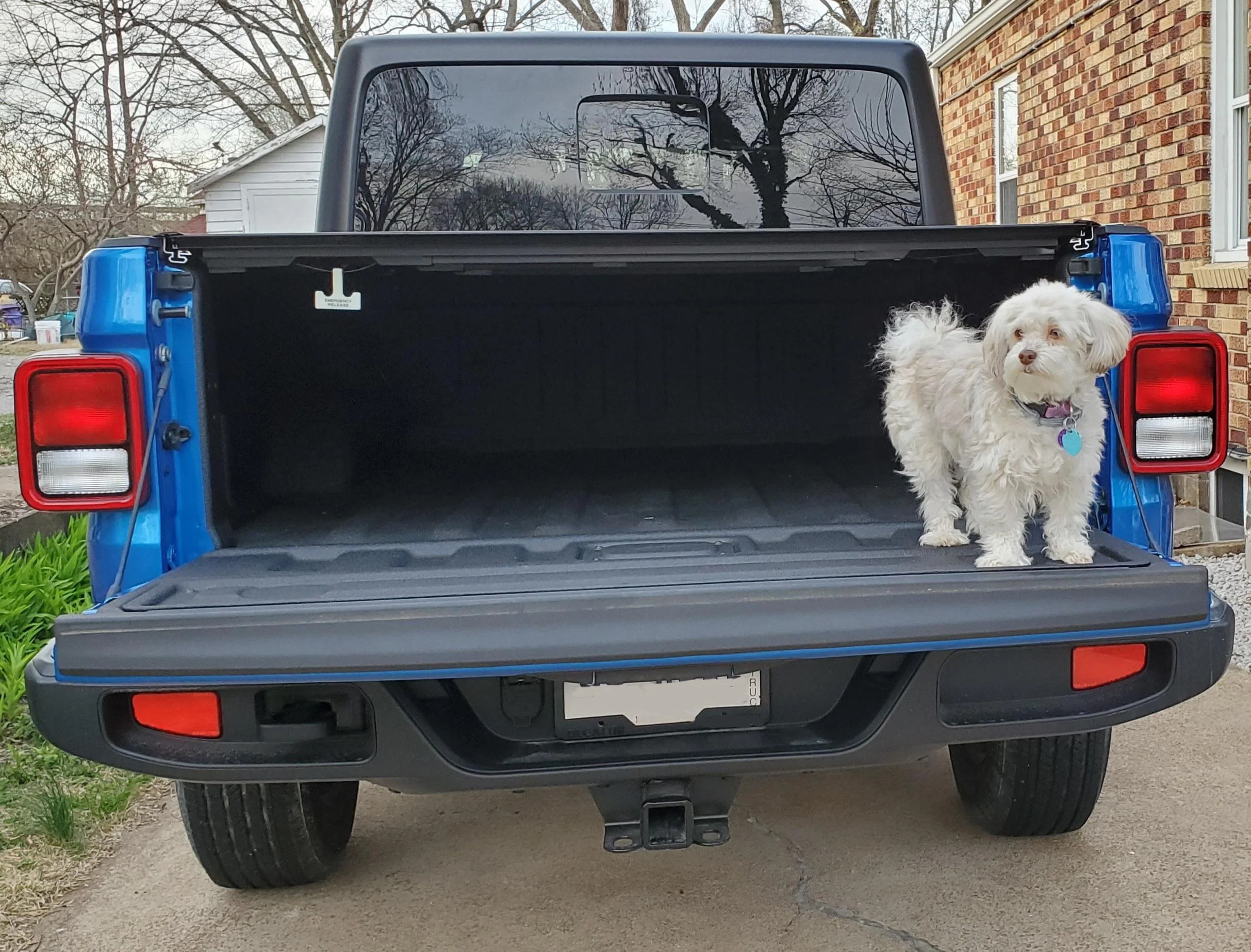 Jeep Gladiator Let’s see your pets cause they are the best companion you can have!!!!! 20220706_091026