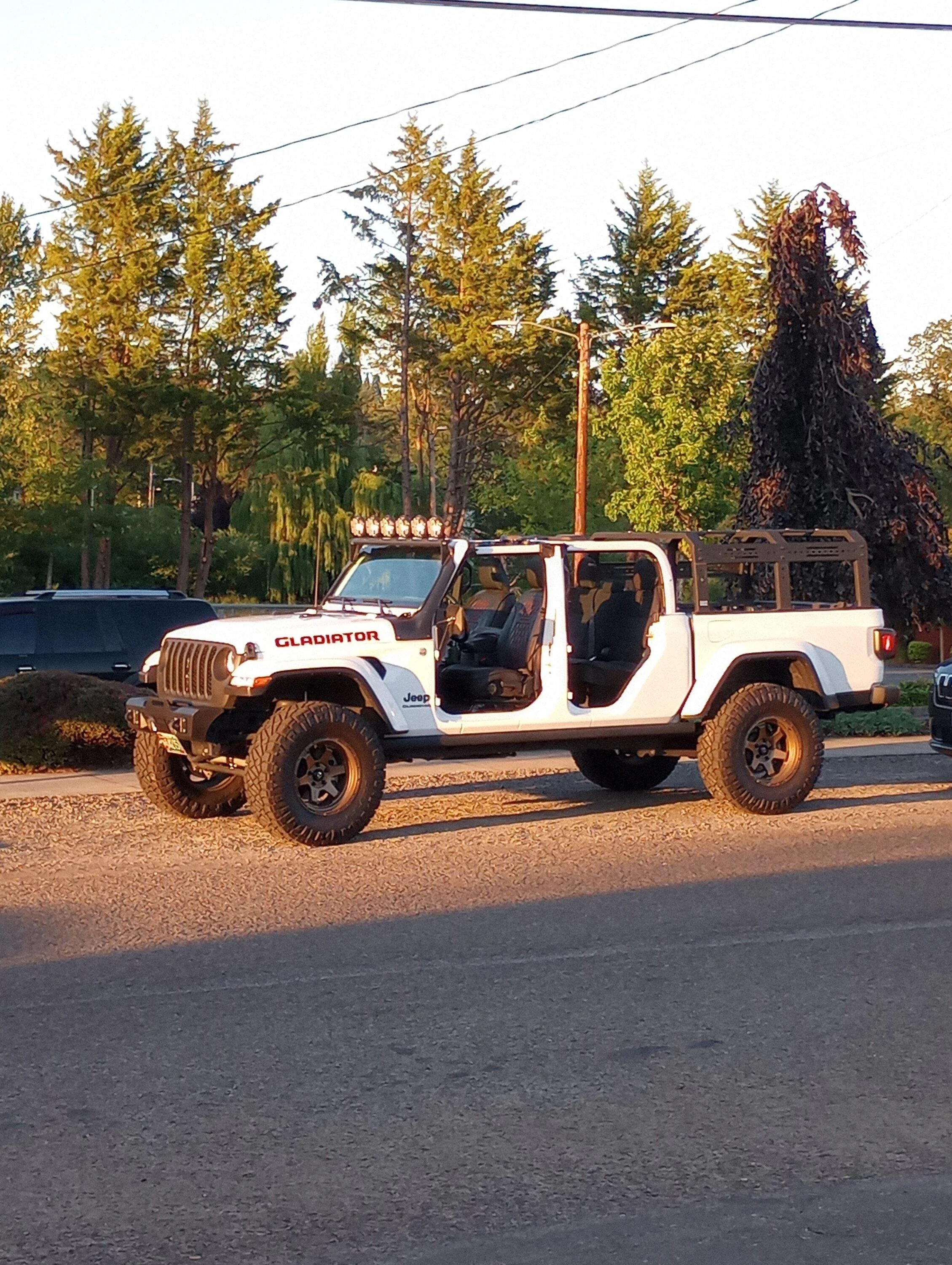 Jeep Gladiator Nude Gladiators (no doors/tops) - pics please IMG_20220630_201854691