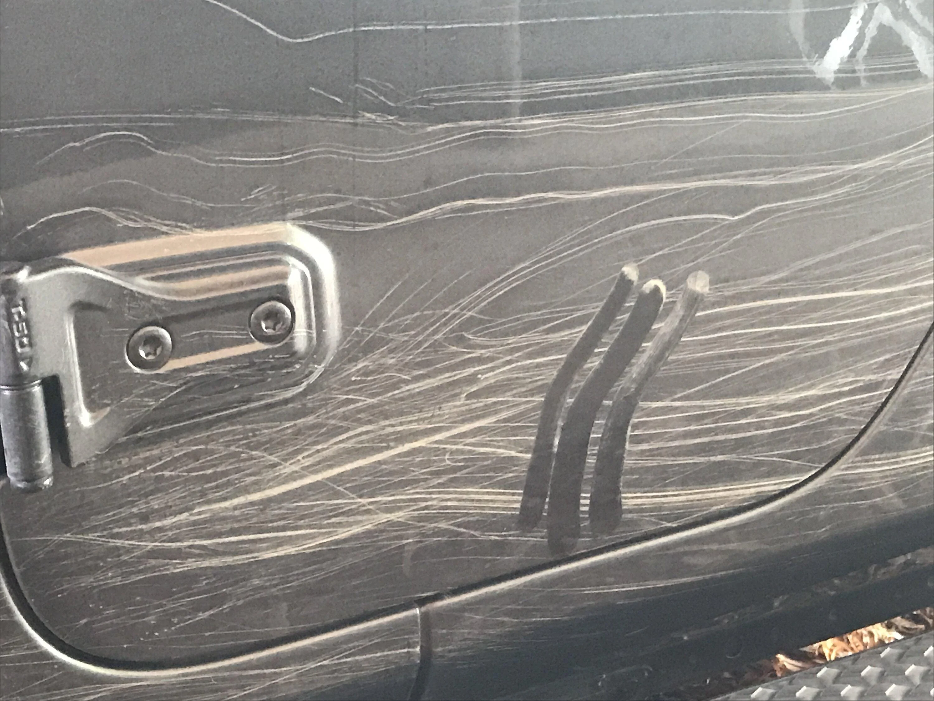 Jeep Gladiator What did you do TO your Gladiator today? [ADMIN WARNING: NO POLITICS, NO GUN TALK] IMG_1861