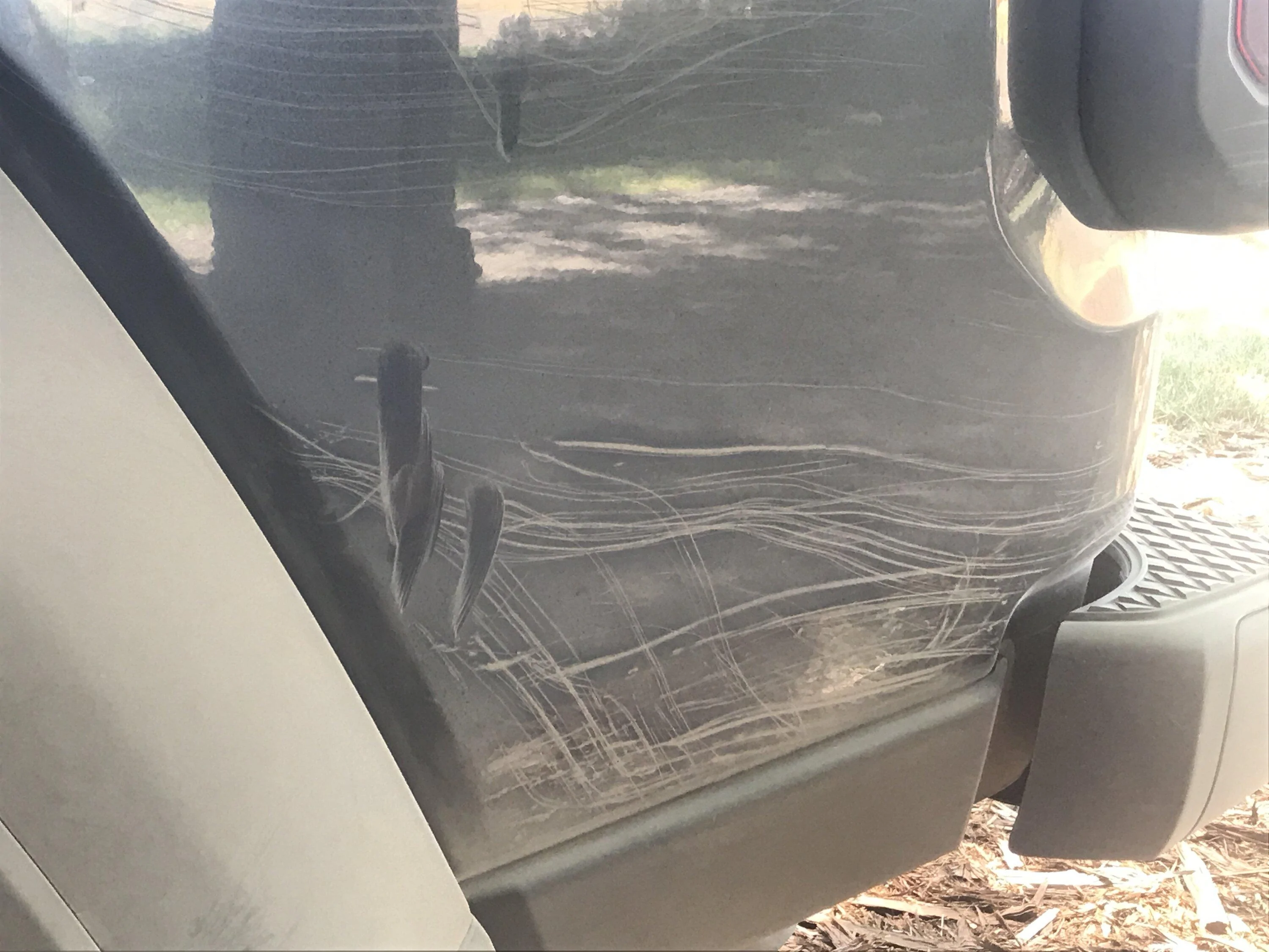 Jeep Gladiator What did you do TO your Gladiator today? [ADMIN WARNING: NO POLITICS, NO GUN TALK] IMG_1862