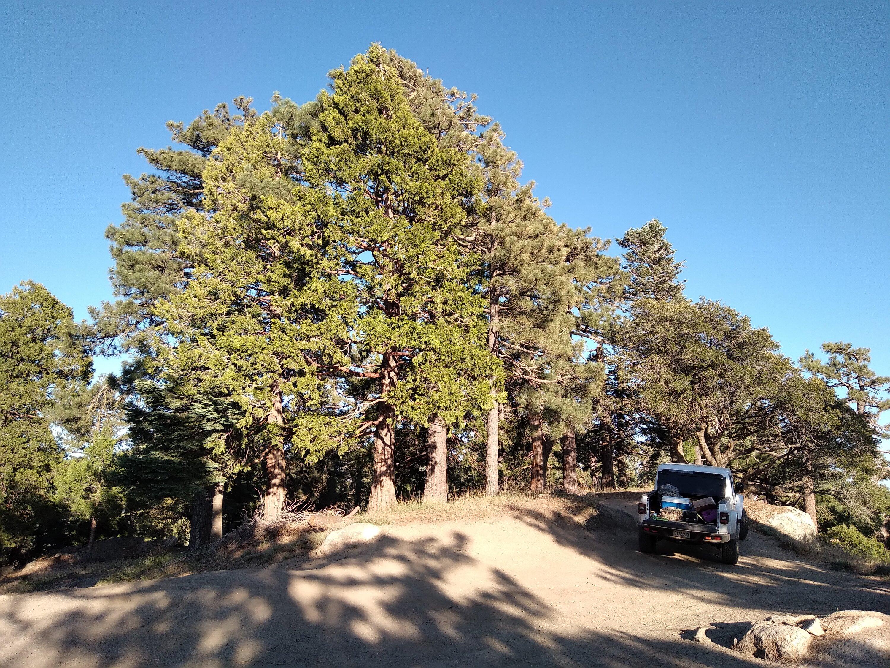 Jeep Gladiator Mt.Thomas\Idyllwild(So Cal) campsite