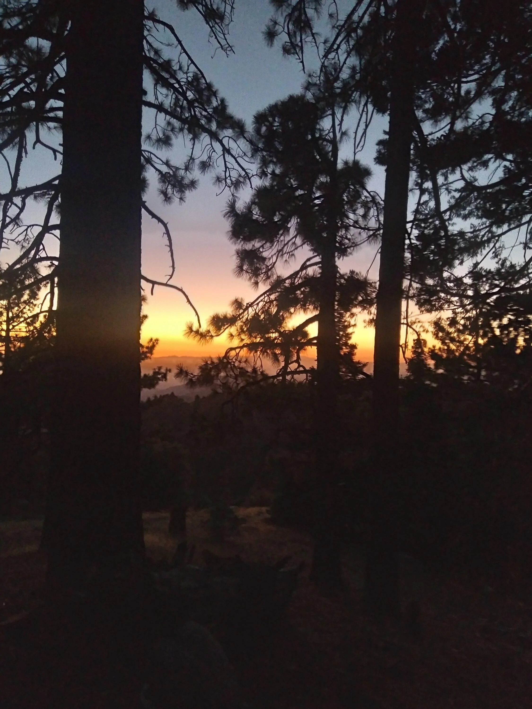 Jeep Gladiator Mt.Thomas\Idyllwild(So Cal) susnetpines