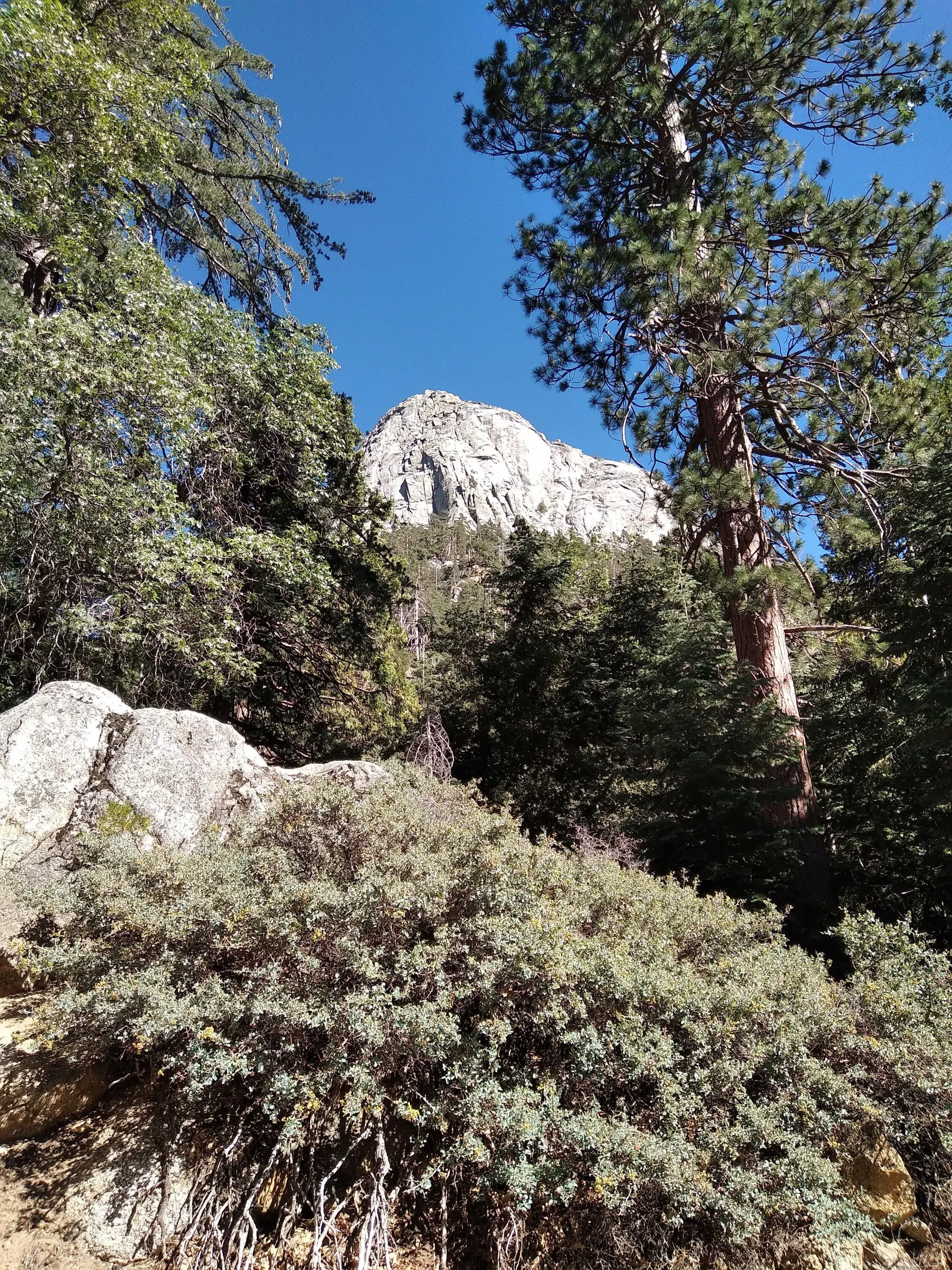 Jeep Gladiator Mt.Thomas\Idyllwild(So Cal) 20220704_161459