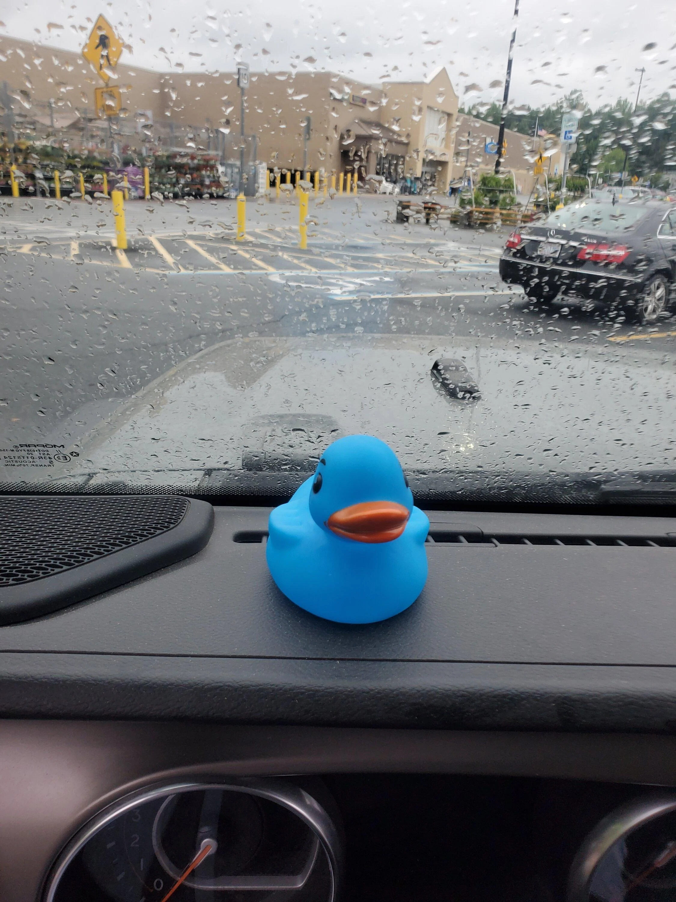 Jeep Gladiator Show me your DUCKS ! 20220710_174830