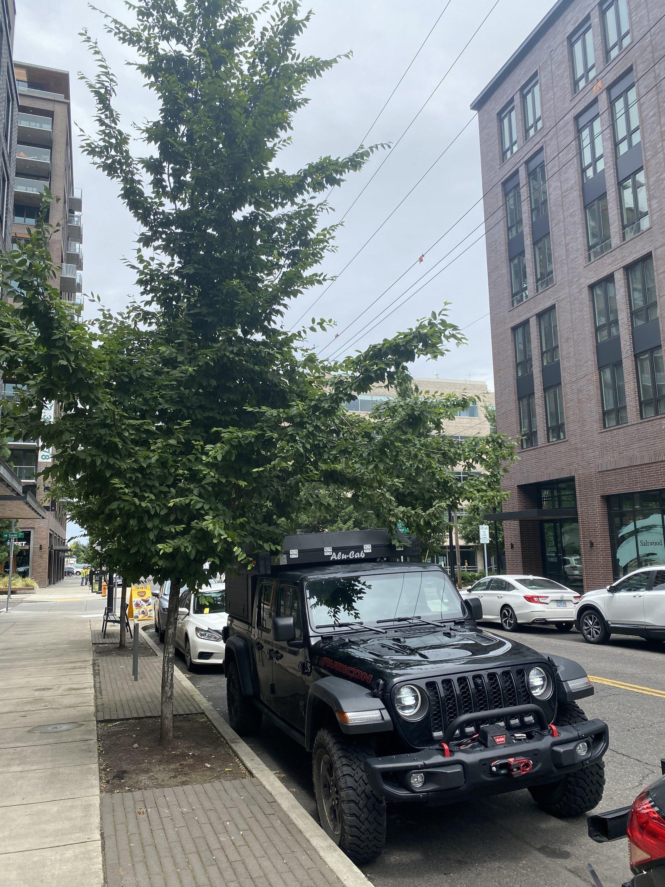Jeep Gladiator Alu-Cab Canopy Camper Roll Call IMG_6360