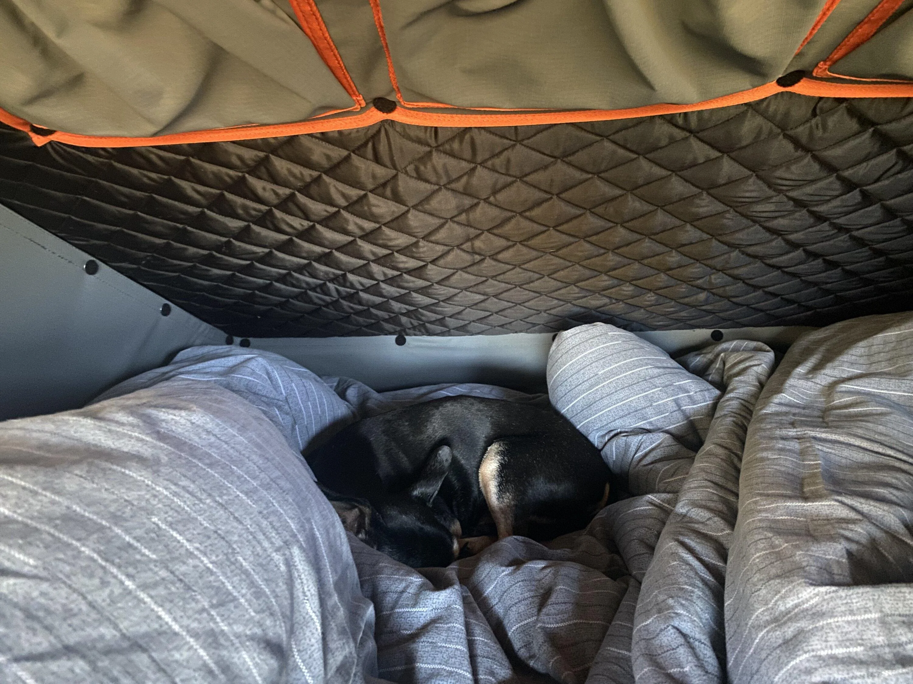 Jeep Gladiator Alu-Cab Canopy Camper Roll Call IMG_6457