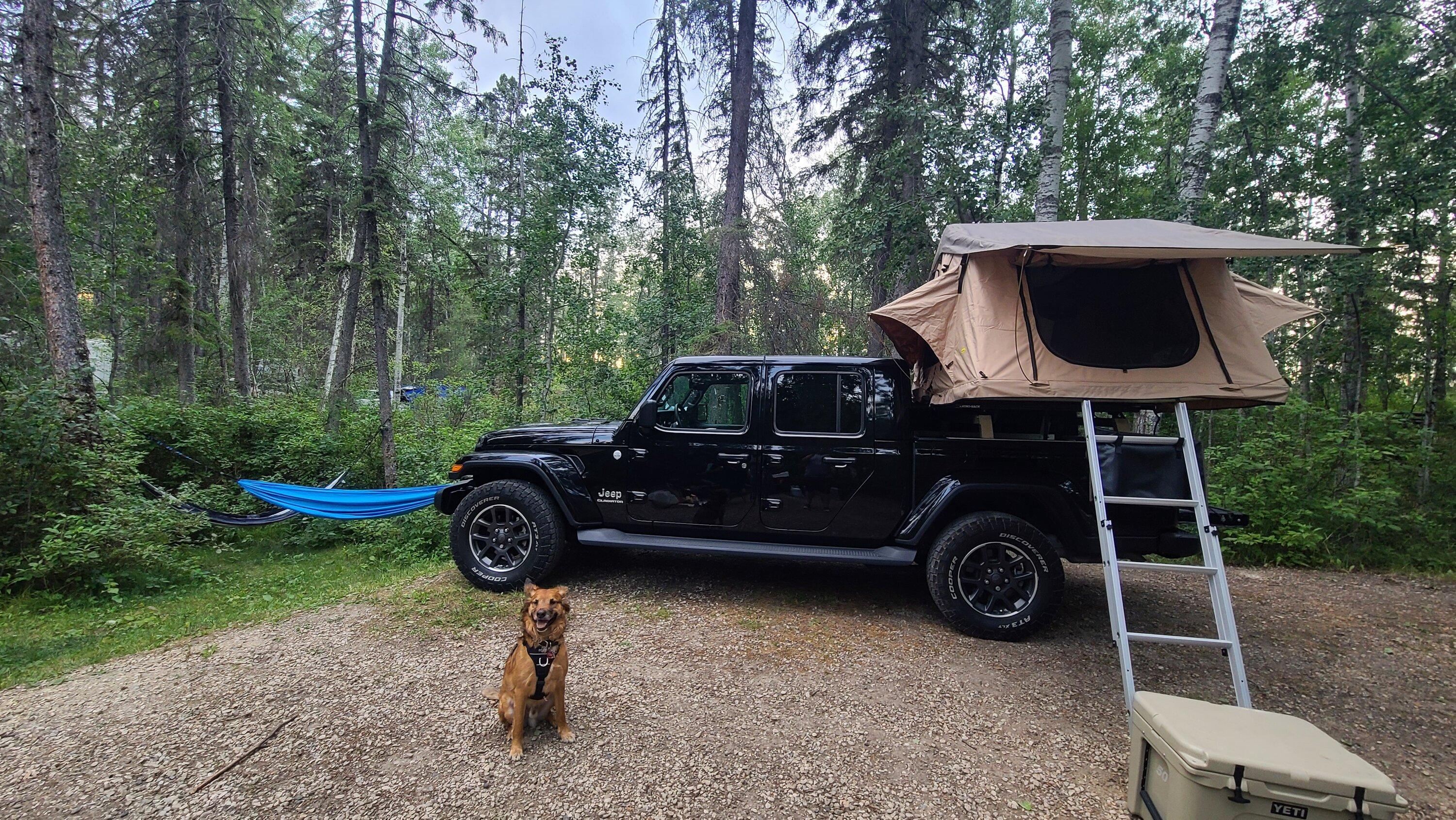Jeep Gladiator Let’s see your pets cause they are the best companion you can have!!!!! 20210724_205911