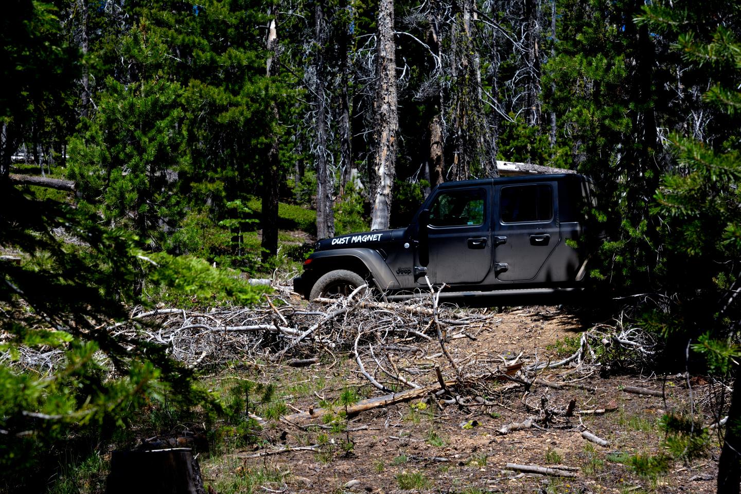 Jeep Gladiator Where did you WHEEL your Gladiator today? _DSC6246_01.JPG