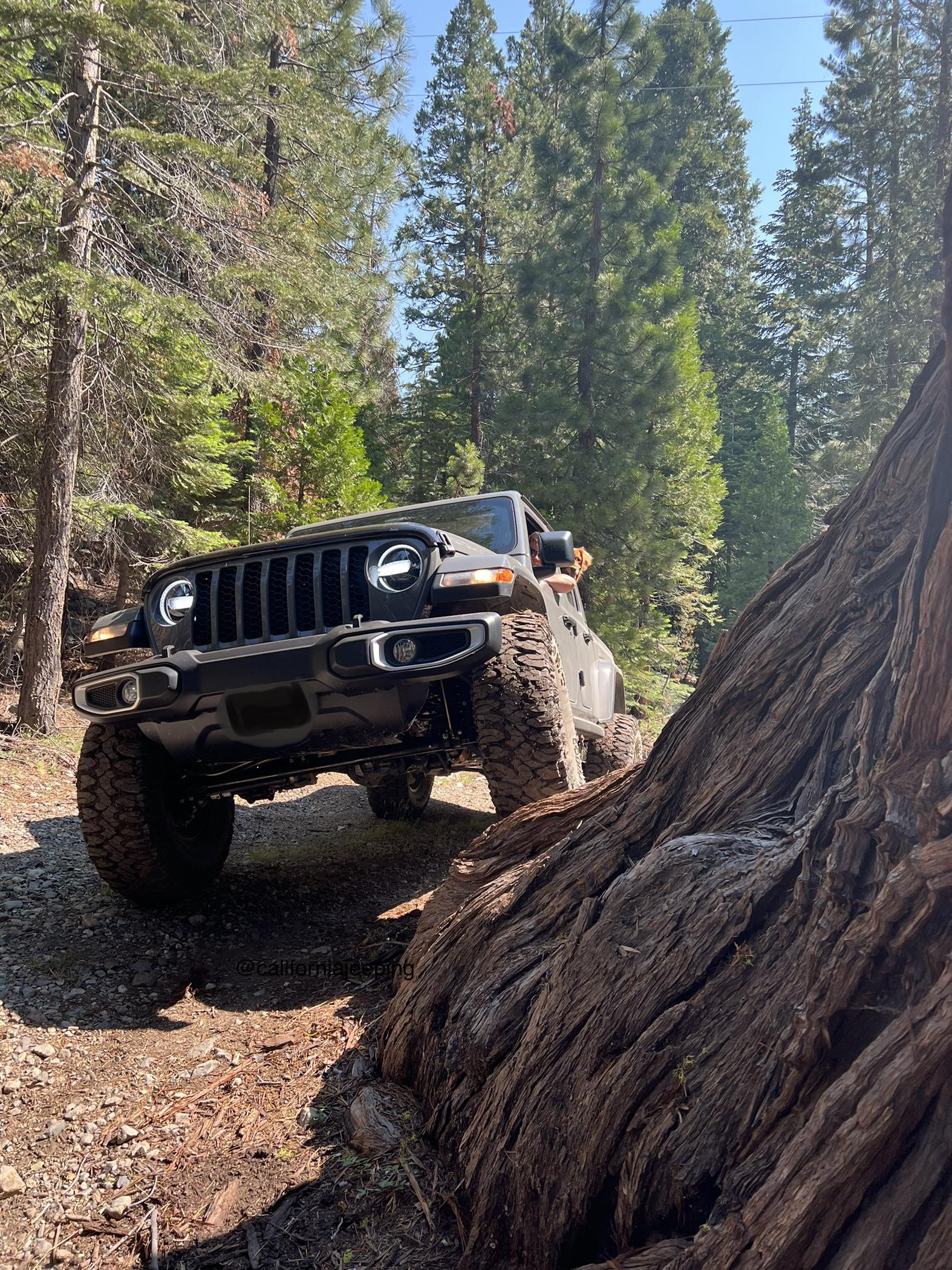 Jeep Gladiator 38s on the ecodiesel! F654C83E-5250-4728-9A38-950A91CED749