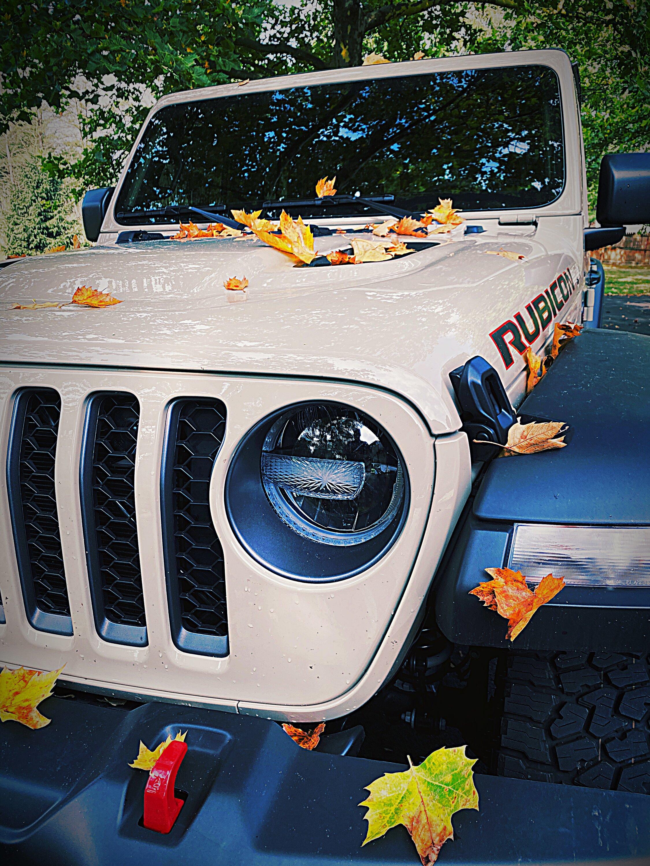 Jeep Gladiator Gladiator Glamour Shots 1E9F5FF3-458B-4D0D-B48F-C269D206A544