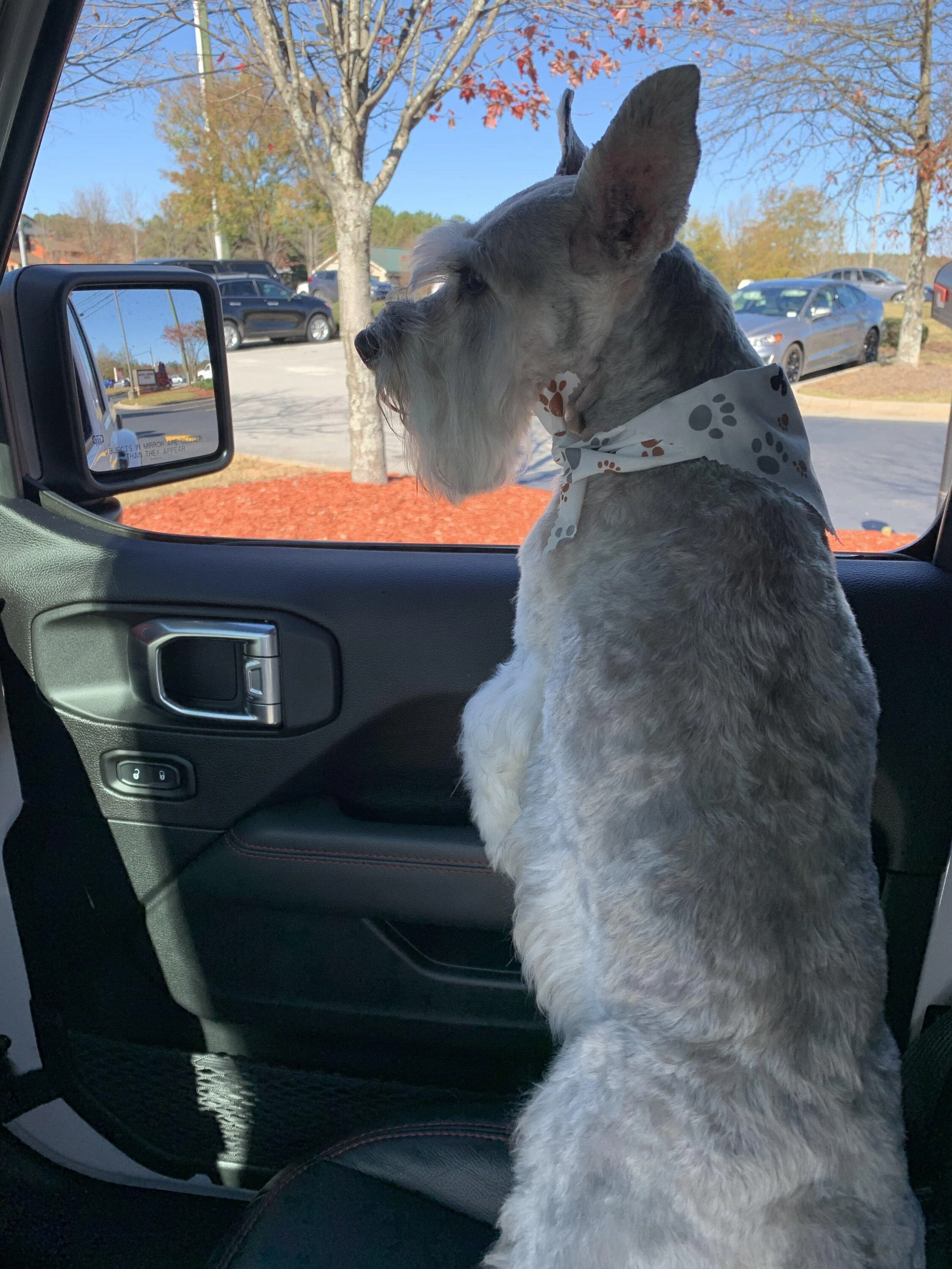 Jeep Gladiator Let’s see your pets cause they are the best companion you can have!!!!! 68AD51AD-A7C0-41B1-B5AD-FFE35656CD58
