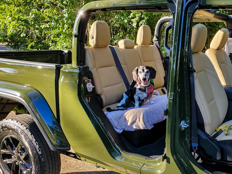Jeep Gladiator Let’s see your pets cause they are the best companion you can have!!!!! PSX_20220624_191510