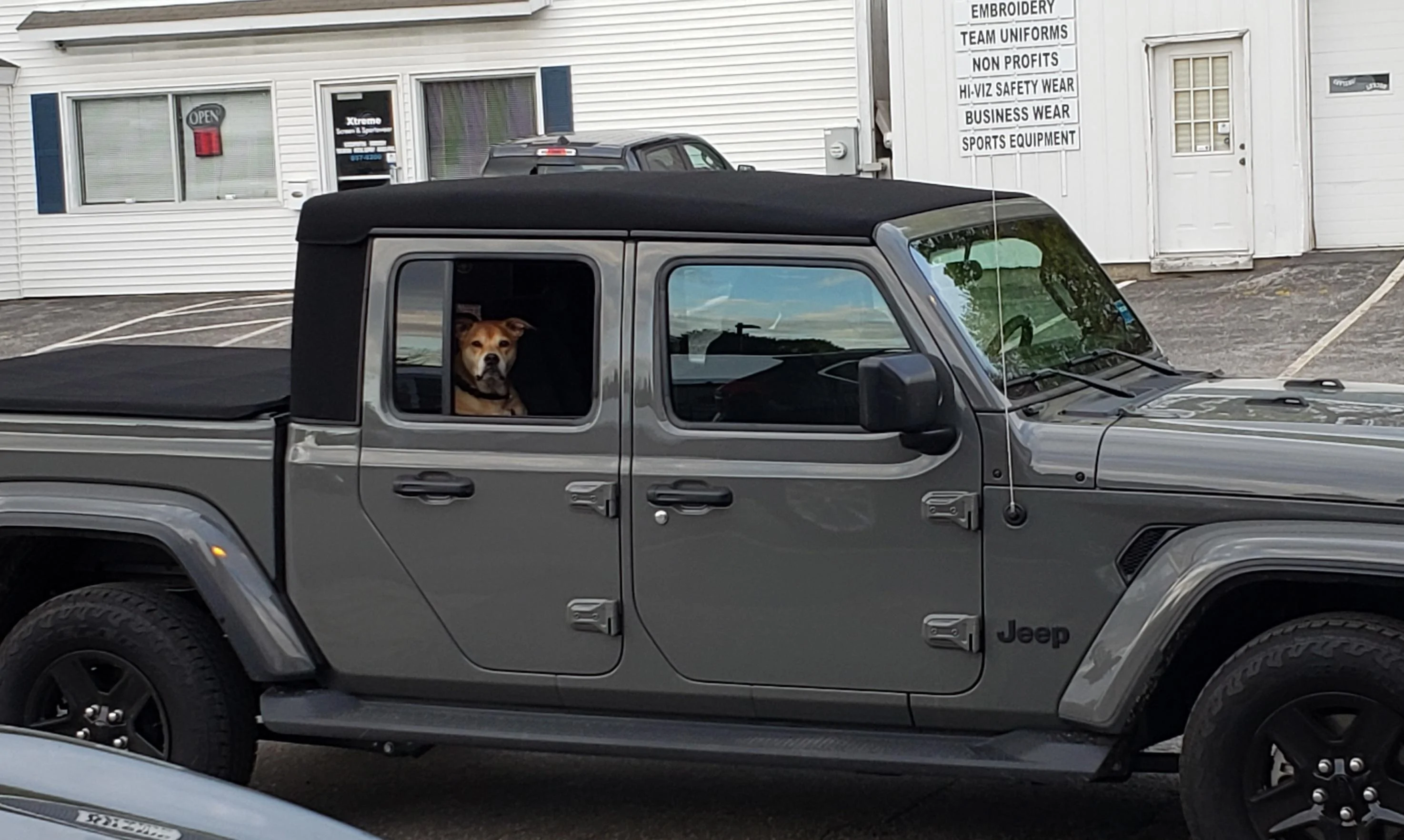 Jeep Gladiator Let’s see your pets cause they are the best companion you can have!!!!! IMG_20210511_195129