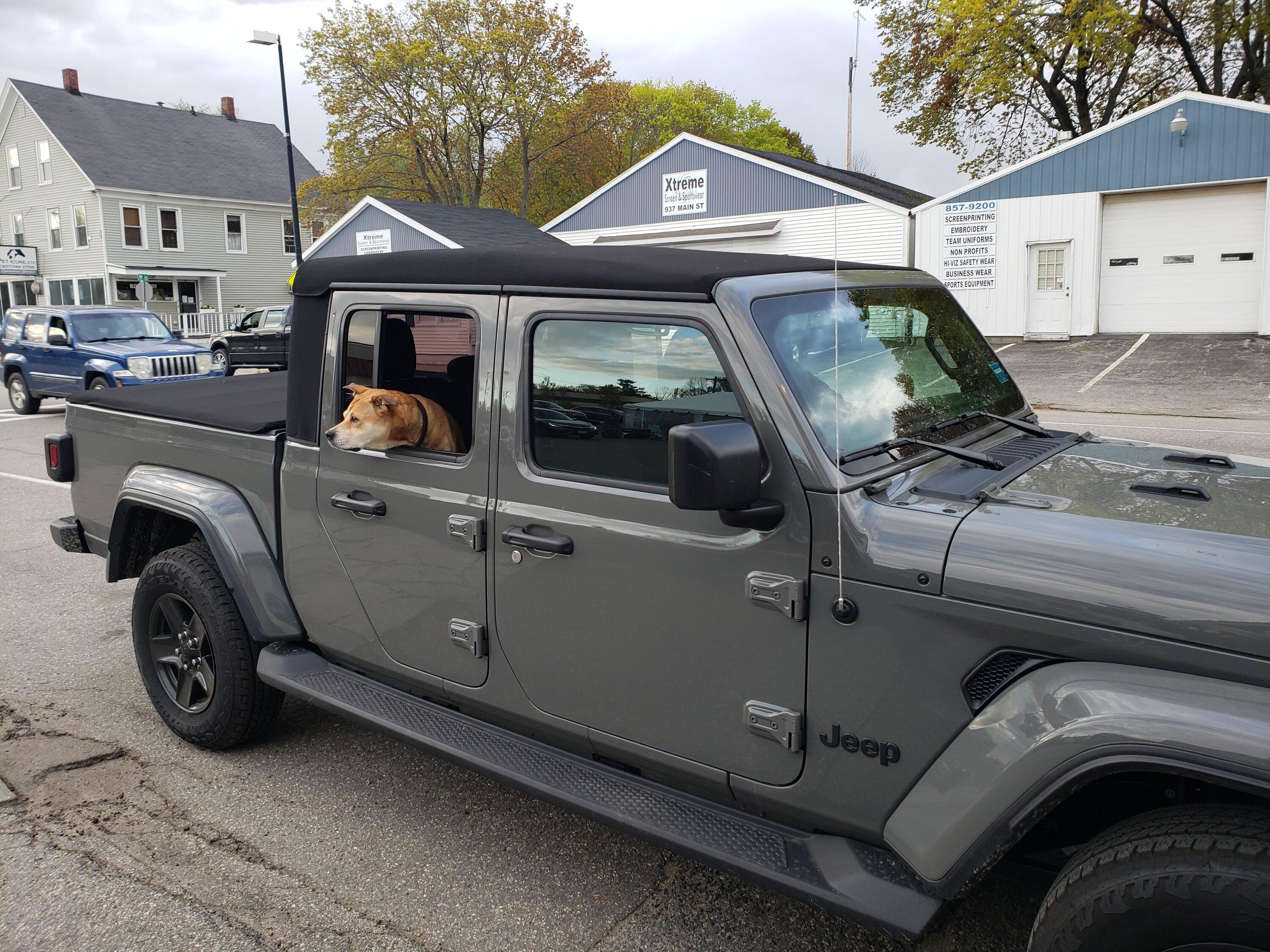 Jeep Gladiator Let’s see your pets cause they are the best companion you can have!!!!! IMG_20210511_195135