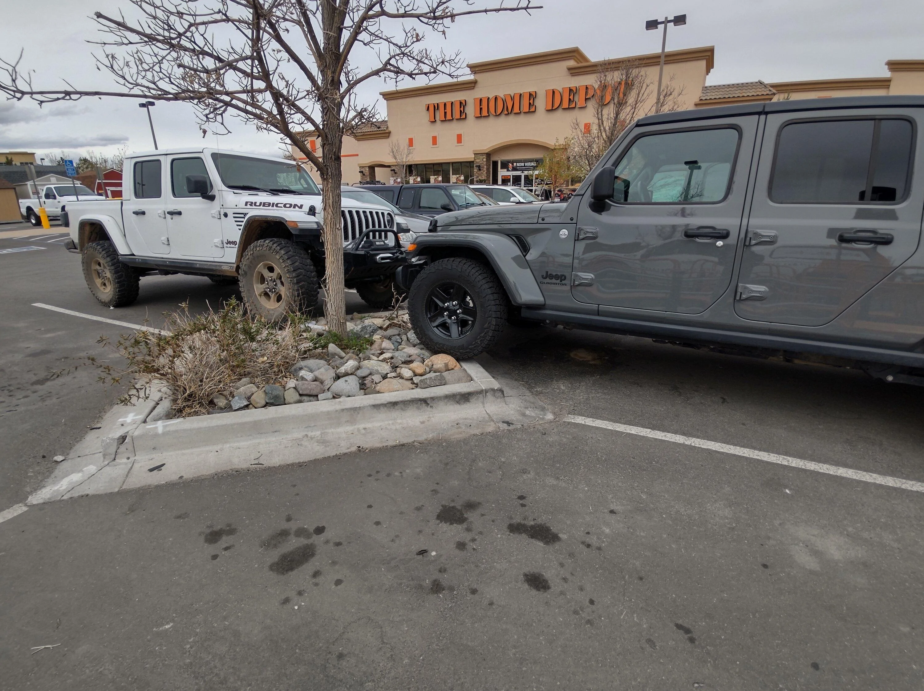 Jeep Gladiator Flexed/flexing- show off ? post your photo & info! IMG_20220328_114356443_HDR