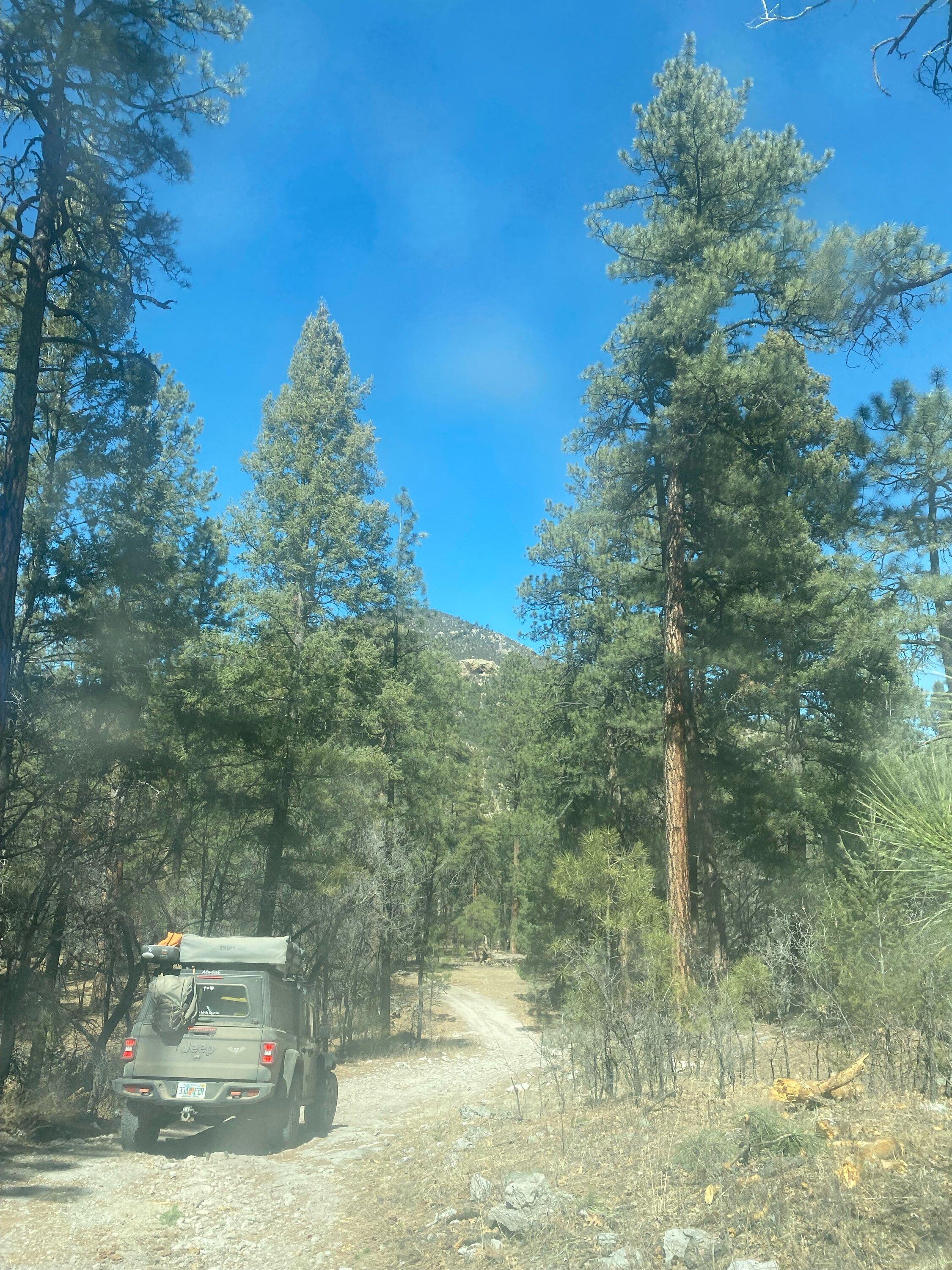 Jeep Gladiator Longest road trip you've taken in your Gladiator? IMG_6968