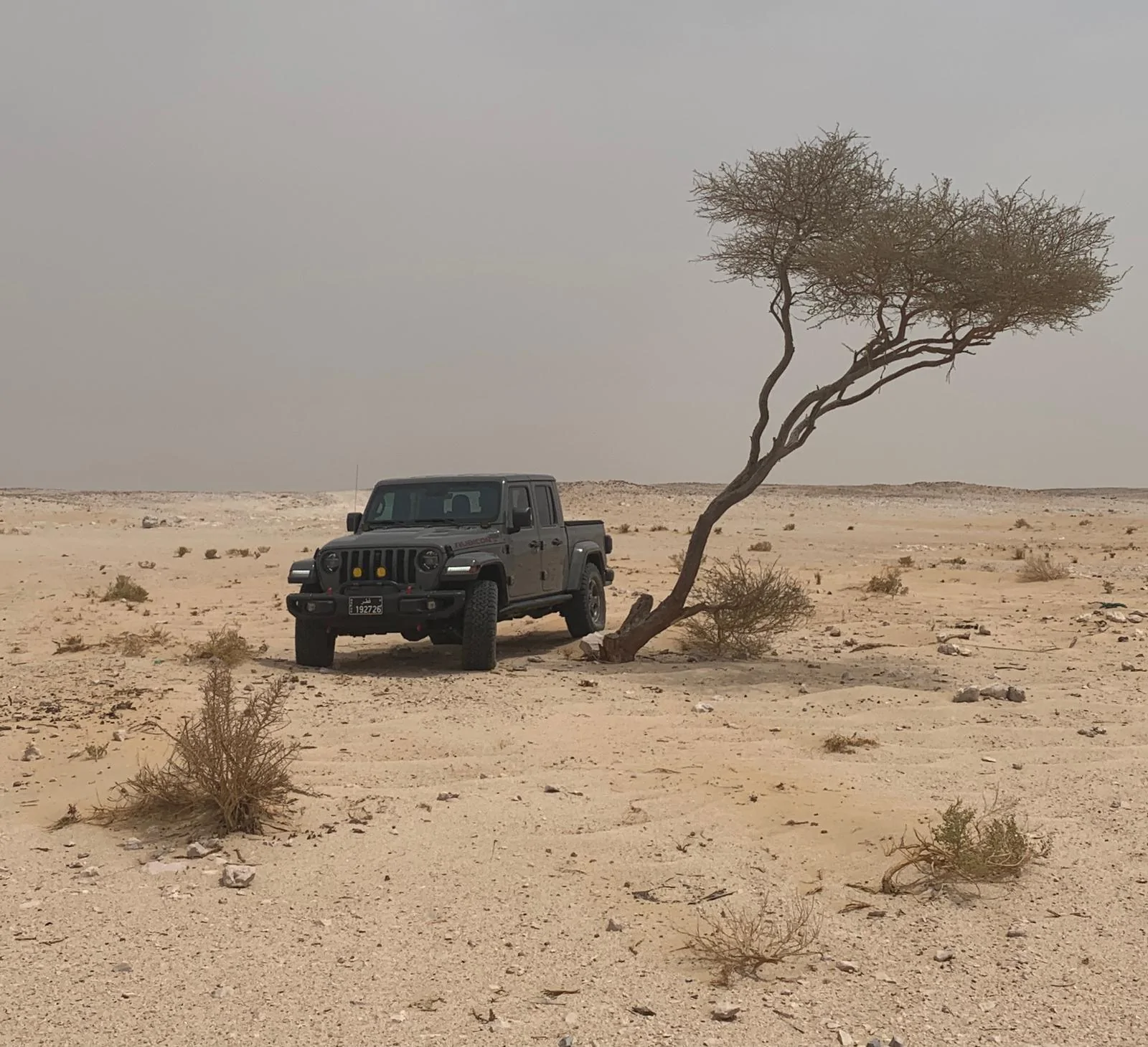 Jeep Gladiator What did you do TO your Gladiator today? [ADMIN WARNING: NO POLITICS, NO GUN TALK] WhatsApp Image 2022-07-06 at 9.39.02 PM