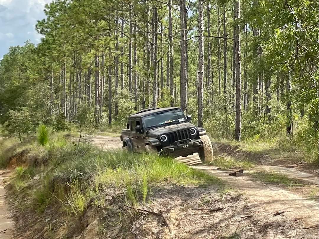 Jeep Gladiator Where did you WHEEL your Gladiator today? 42927