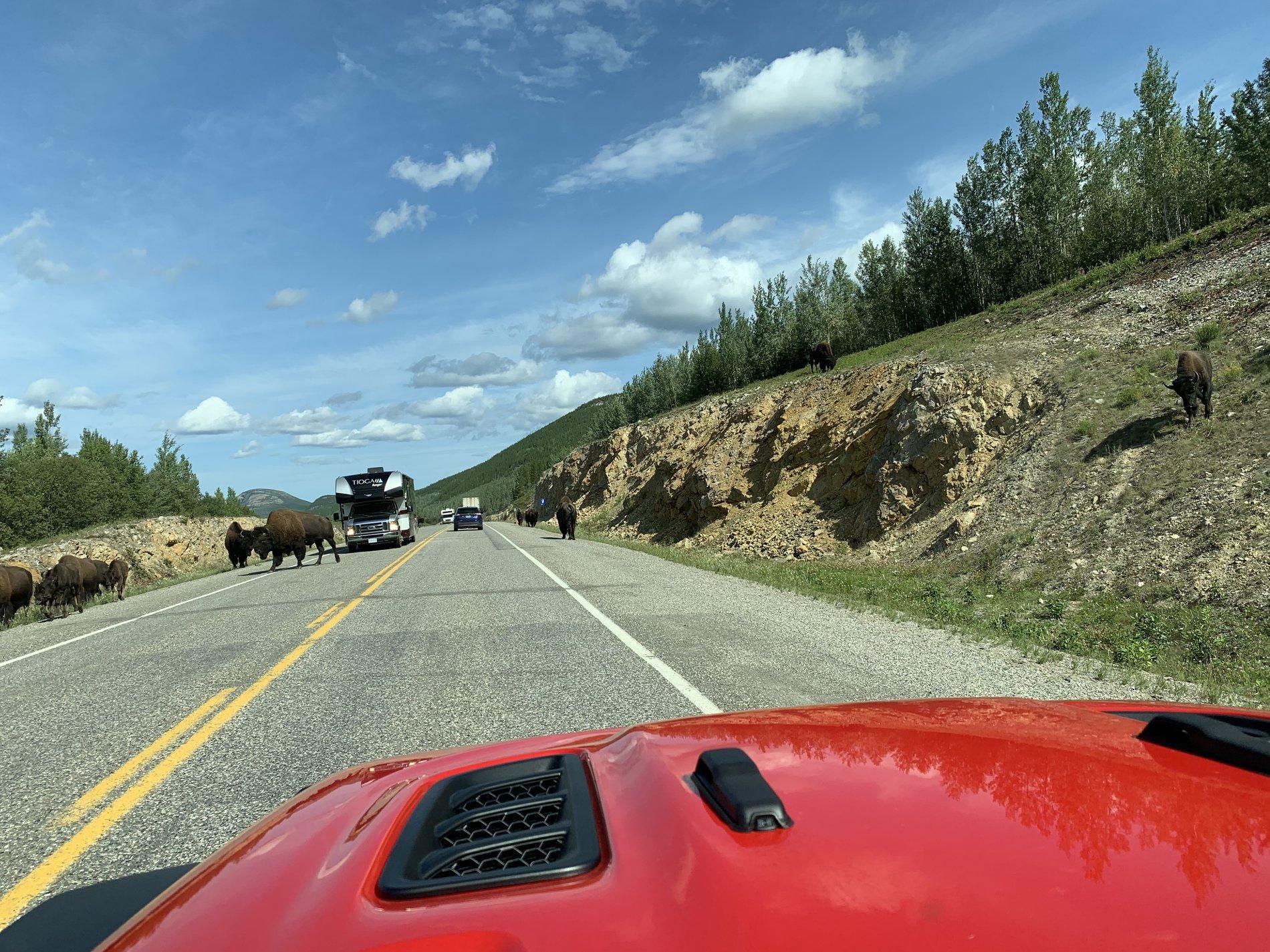 Jeep Gladiator 10,000 Miles today. 86856FF9-1446-4C4C-8FCF-E58E7E766B18
