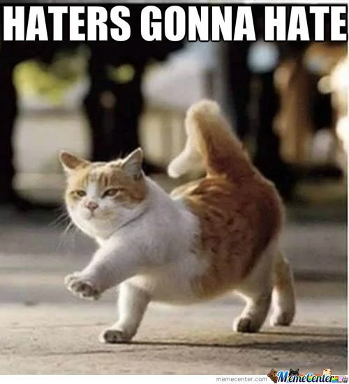 haters-gonna-hate_o_1337227.webp