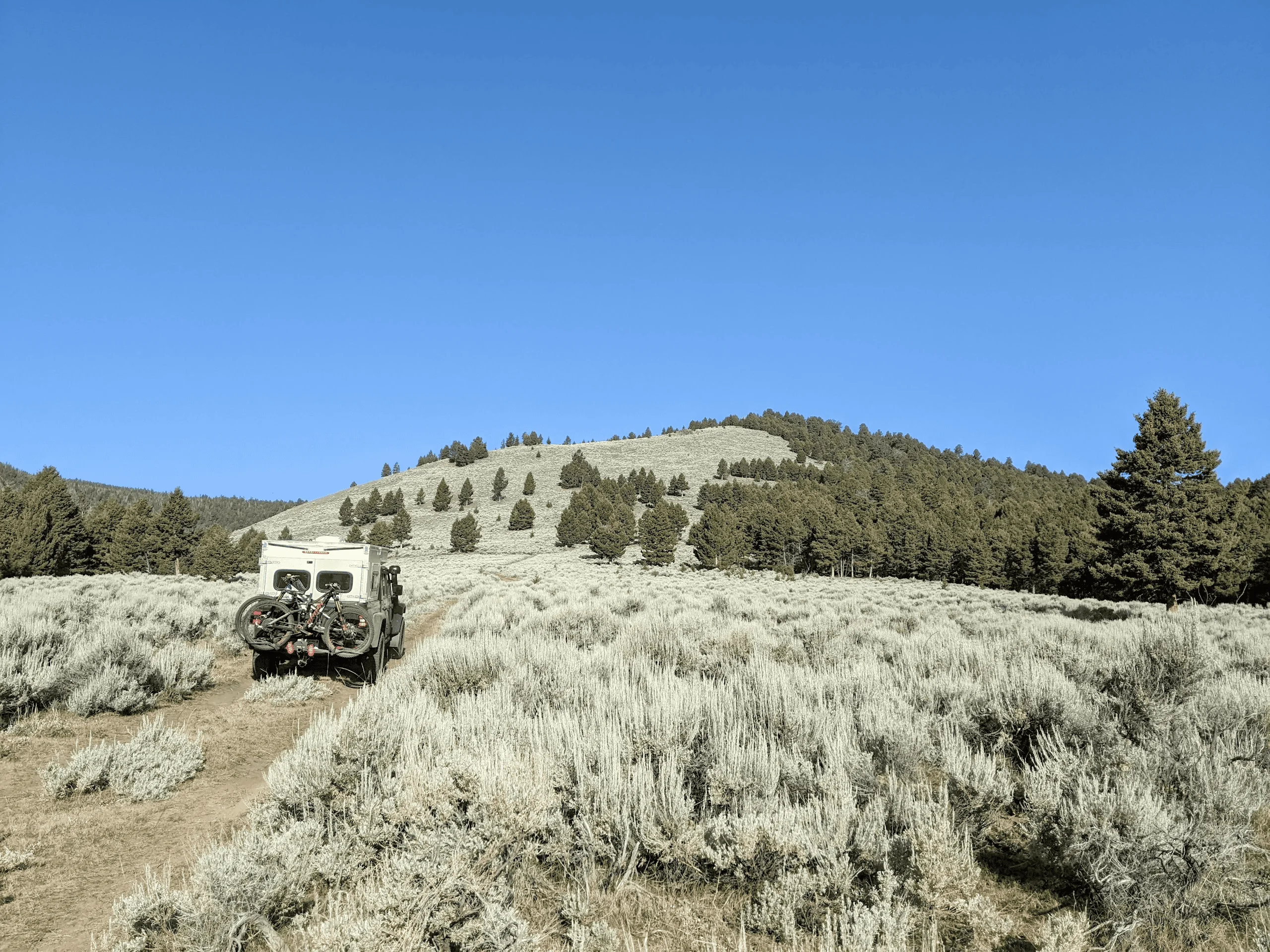 Jeep Gladiator What did you do WITH your Gladiator today? 1658781395473