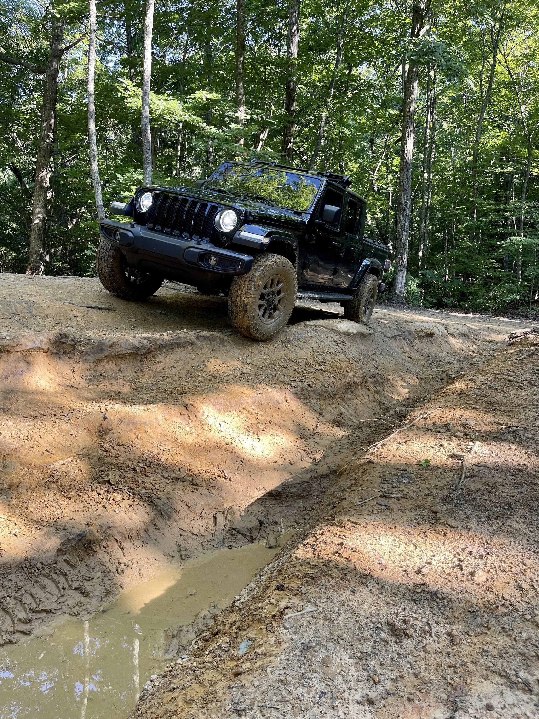 Jeep Gladiator Where did you WHEEL your Gladiator today? 445013A7-5C7B-46F6-80A3-8B1D5BB83C8E