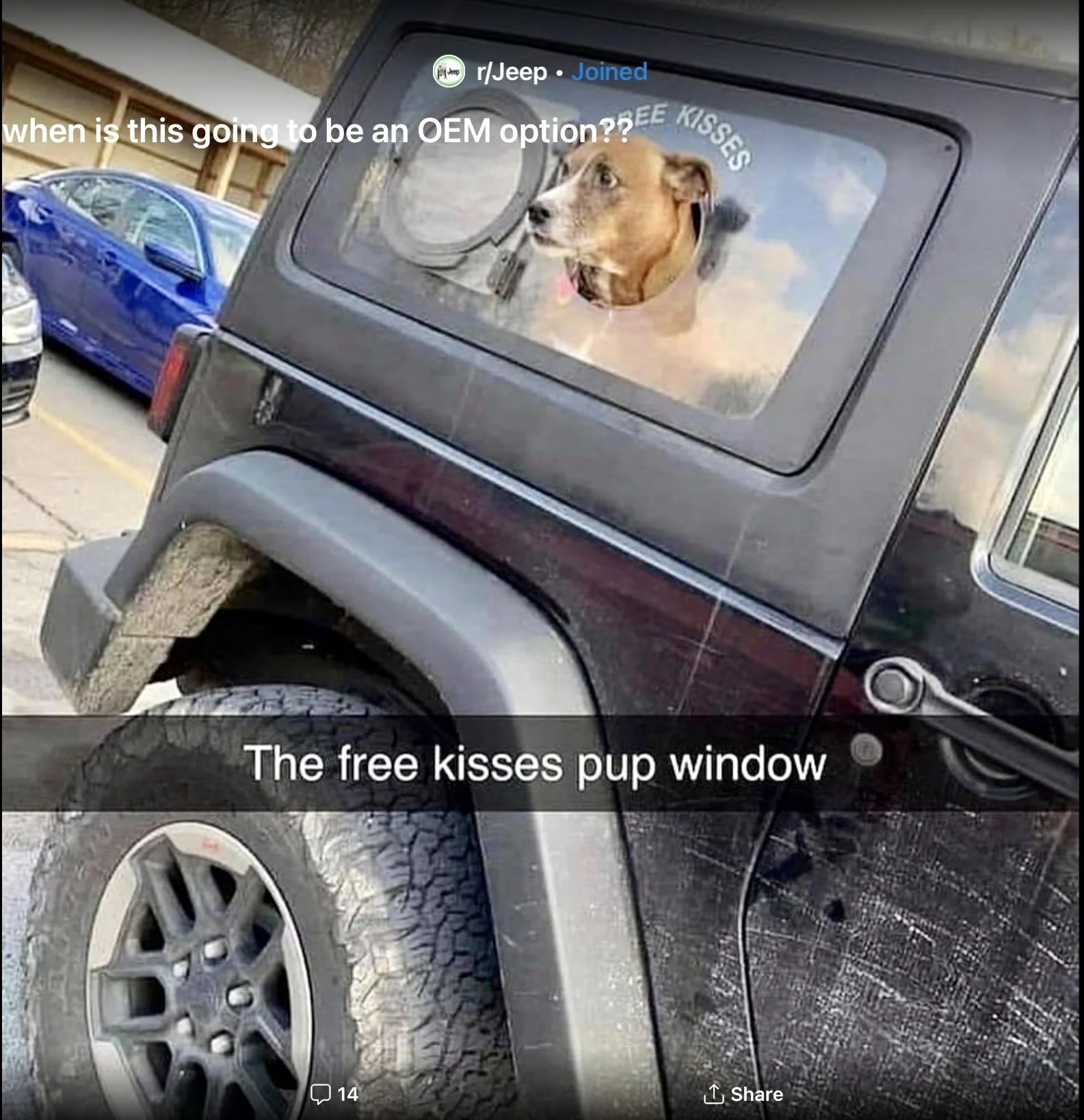 Jeep Gladiator Let’s see your pets cause they are the best companion you can have!!!!! F9FDF8E9-D8E3-4219-A8F0-3ED52CCC548C