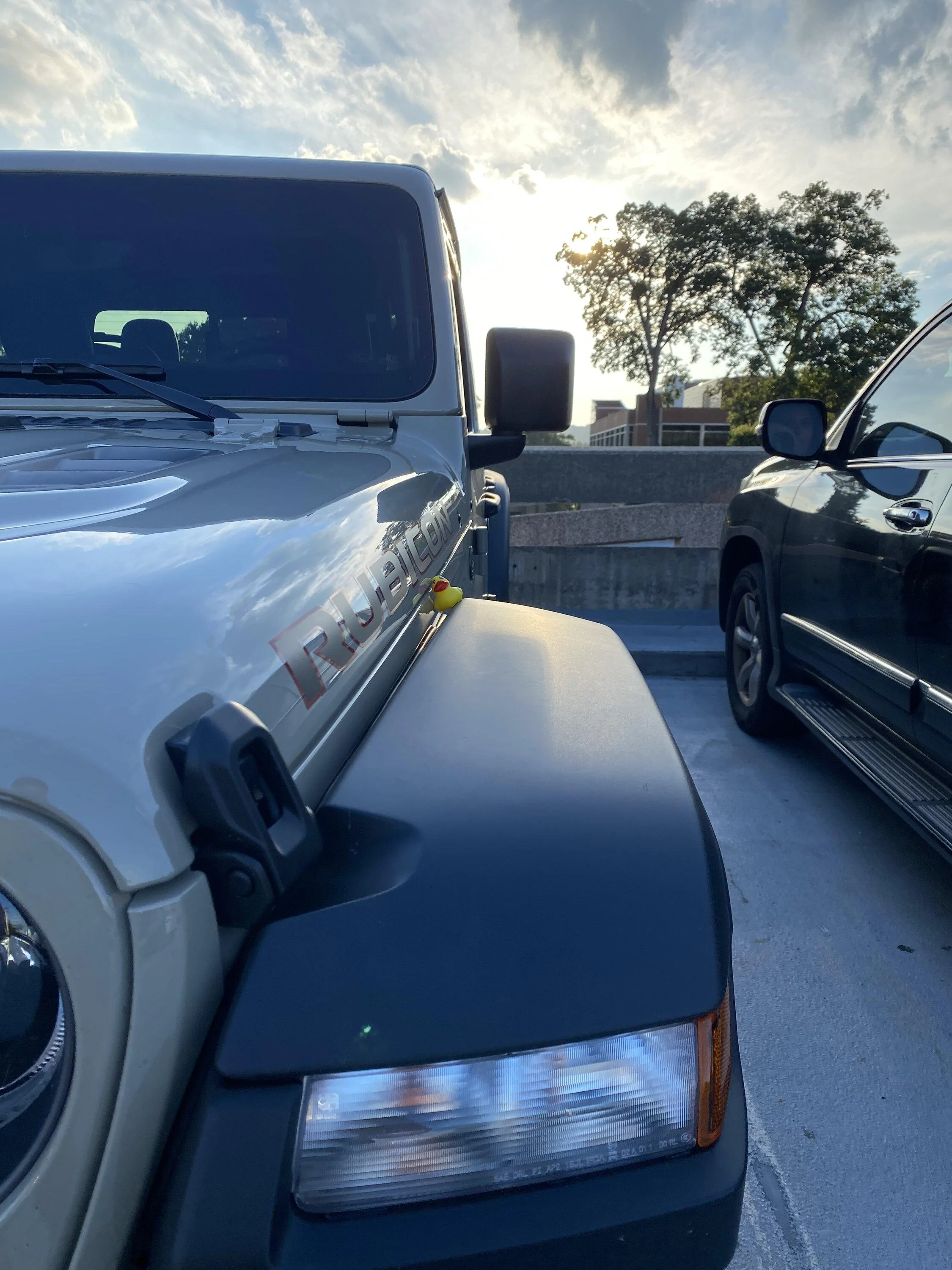 Jeep Gladiator What did you do WITH your Gladiator today? EF735FDD-FBA9-44A5-8426-A384E8715933
