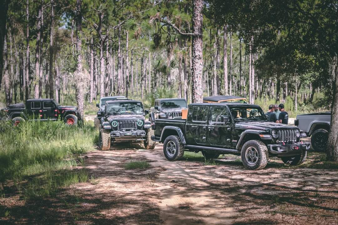 Jeep Gladiator Jeeps Parking Next To Jeeps 43017