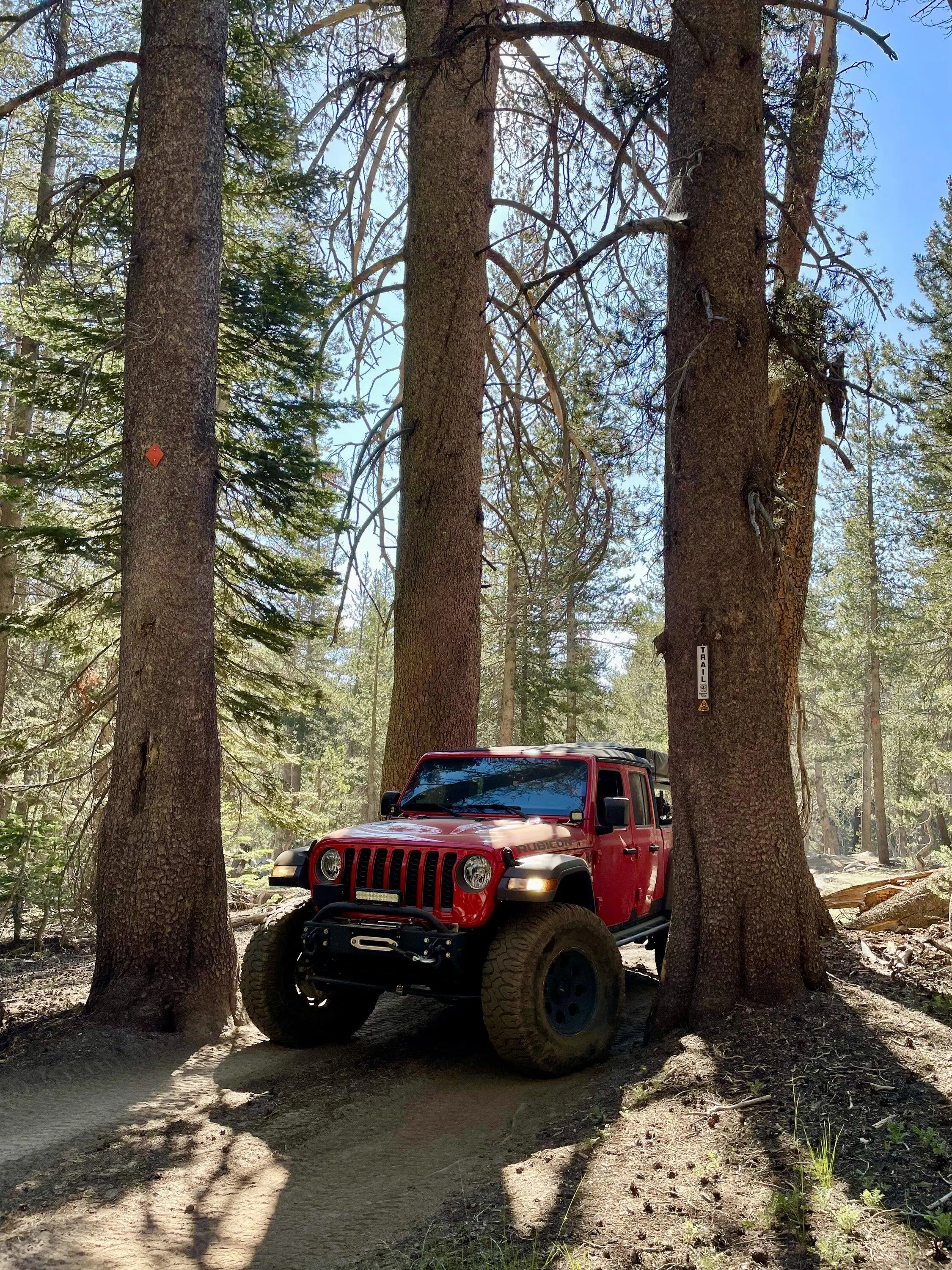Jeep Gladiator TJ's Crawler/Overland Build 5CC5F121-365C-4931-BEAA-3291A361B518