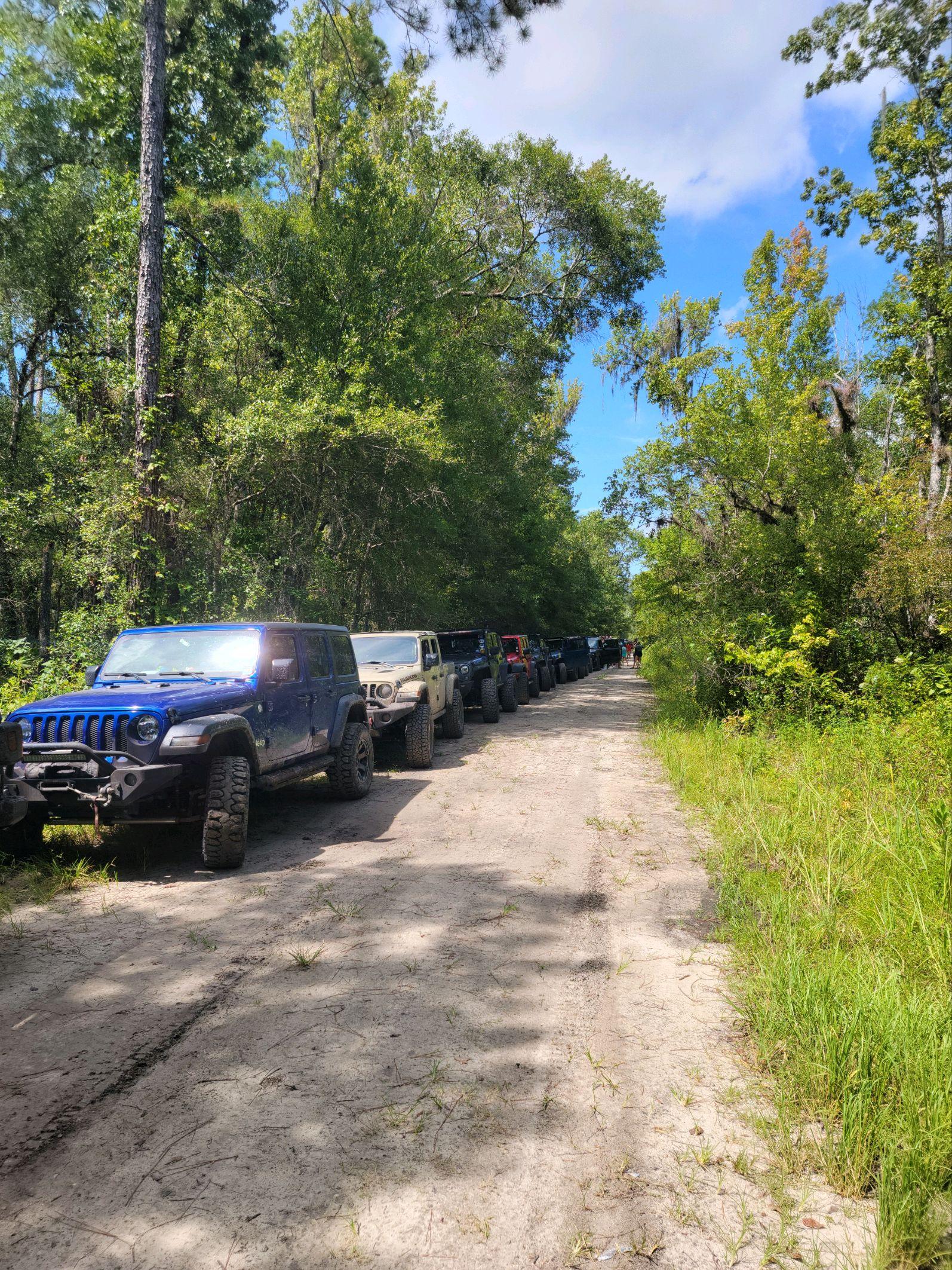 Jeep Gladiator Jeeps Parking Next To Jeeps 43160