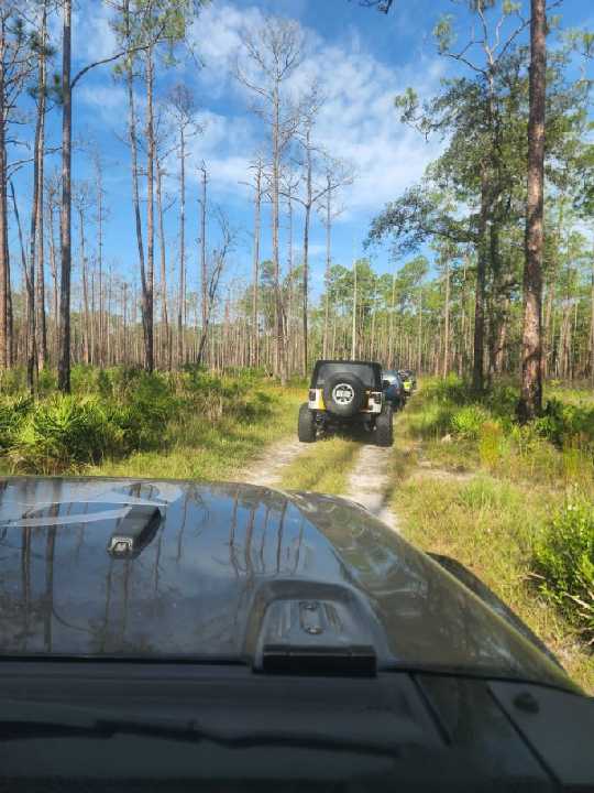 Jeep Gladiator Where did you WHEEL your Gladiator today? 43181 (1)