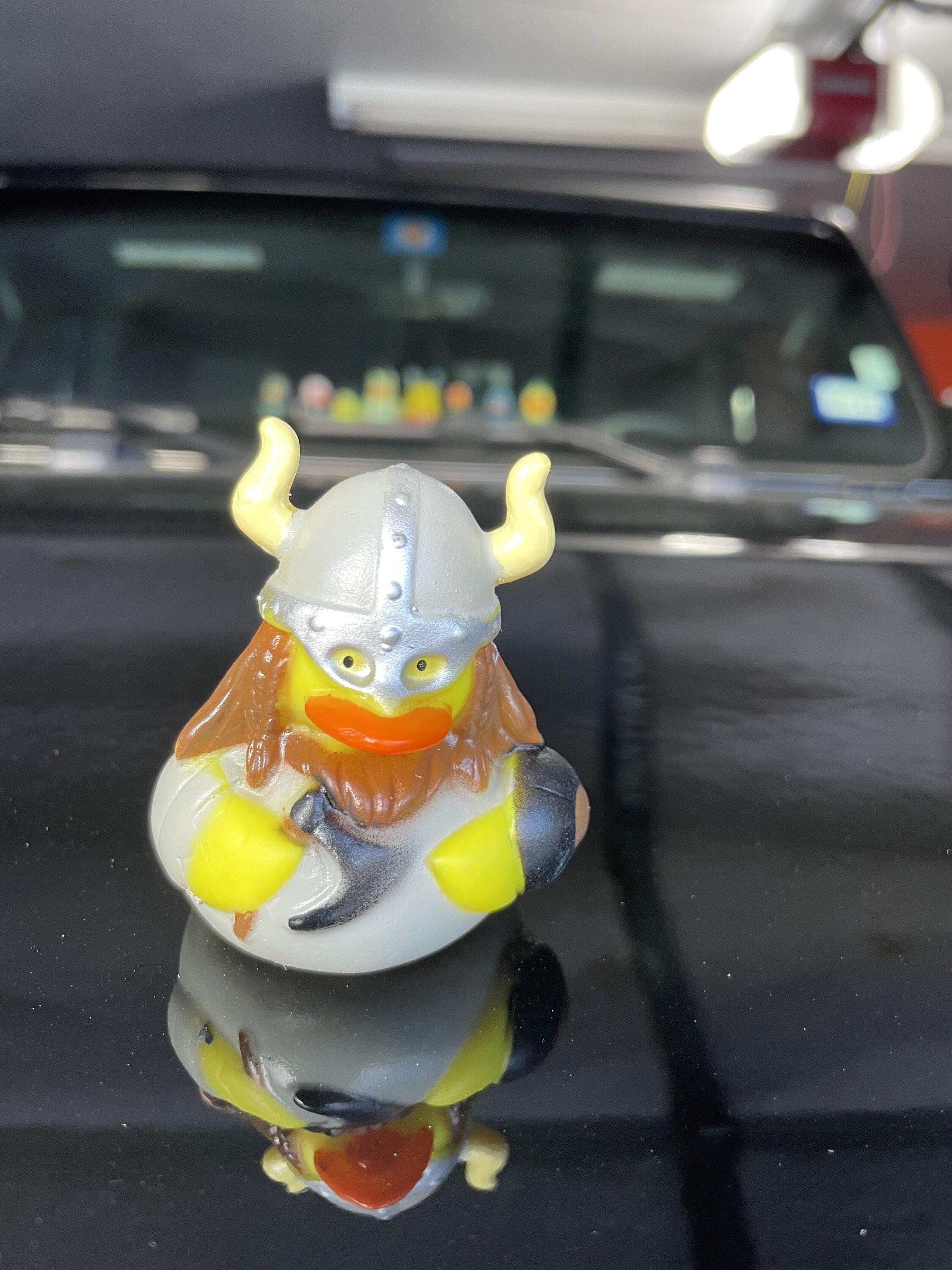 Jeep Gladiator Show me your DUCKS ! A4049824-53E7-4CA1-B2A8-233257B593EA