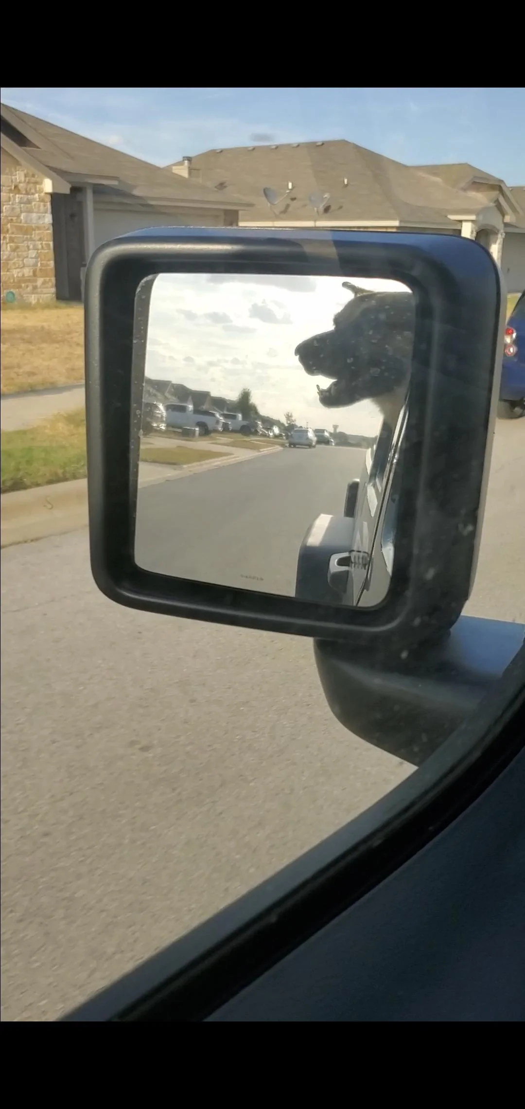 Jeep Gladiator Let’s see your pets cause they are the best companion you can have!!!!! Screenshot_20220807-191633_Gallery
