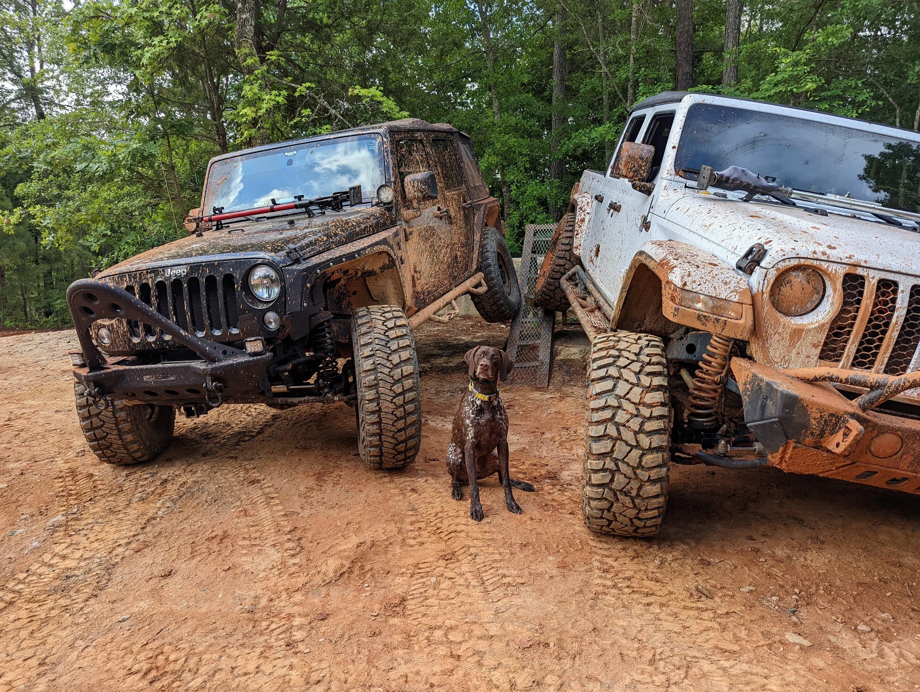 Jeep Gladiator Let’s see your pets cause they are the best companion you can have!!!!! PXL_20220530_125031466