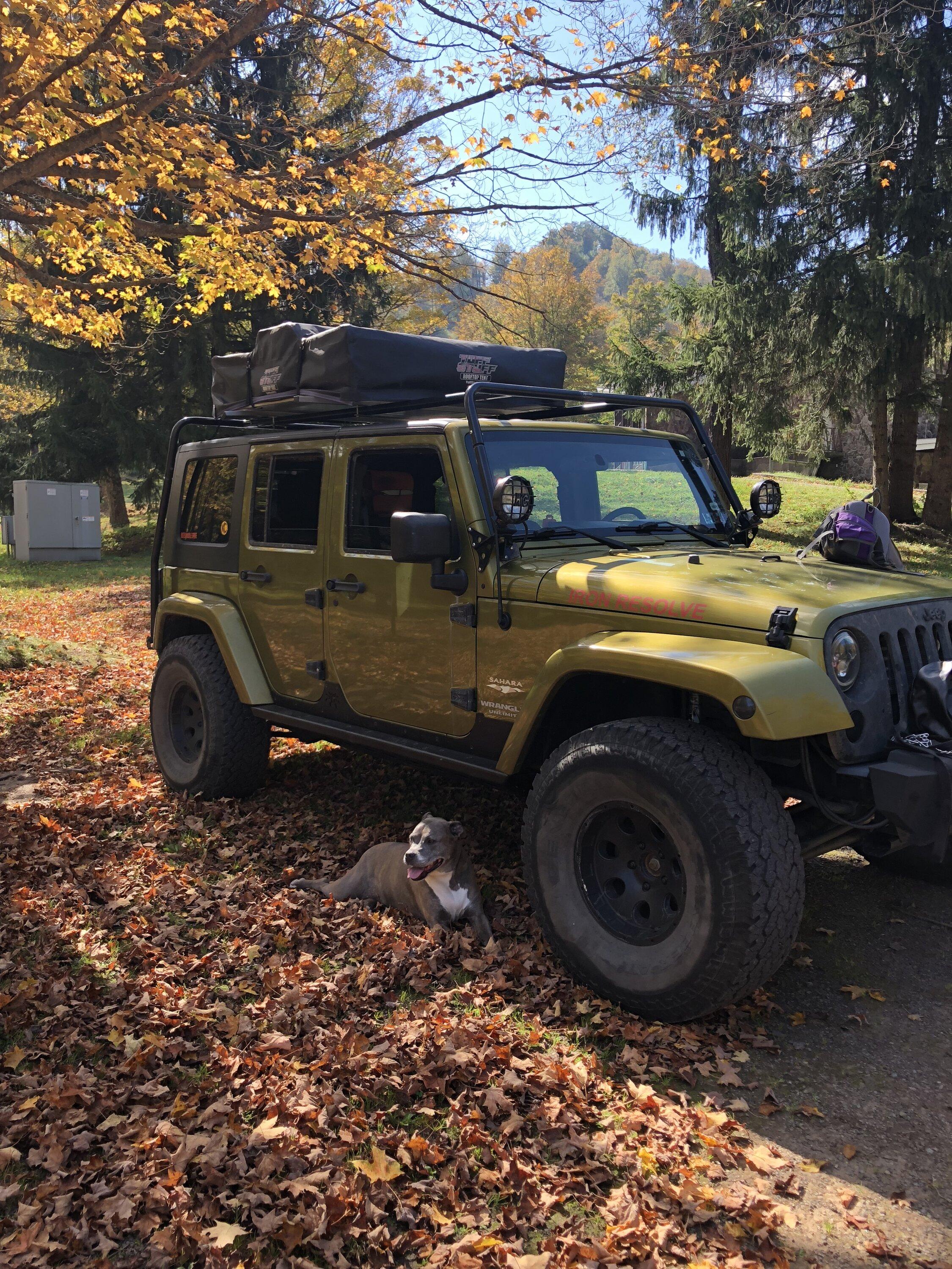Jeep Gladiator If you could have Gladiator in any color you want... 1100ECD9-5AD5-4C1E-AFF2-611AEEDCF6E7