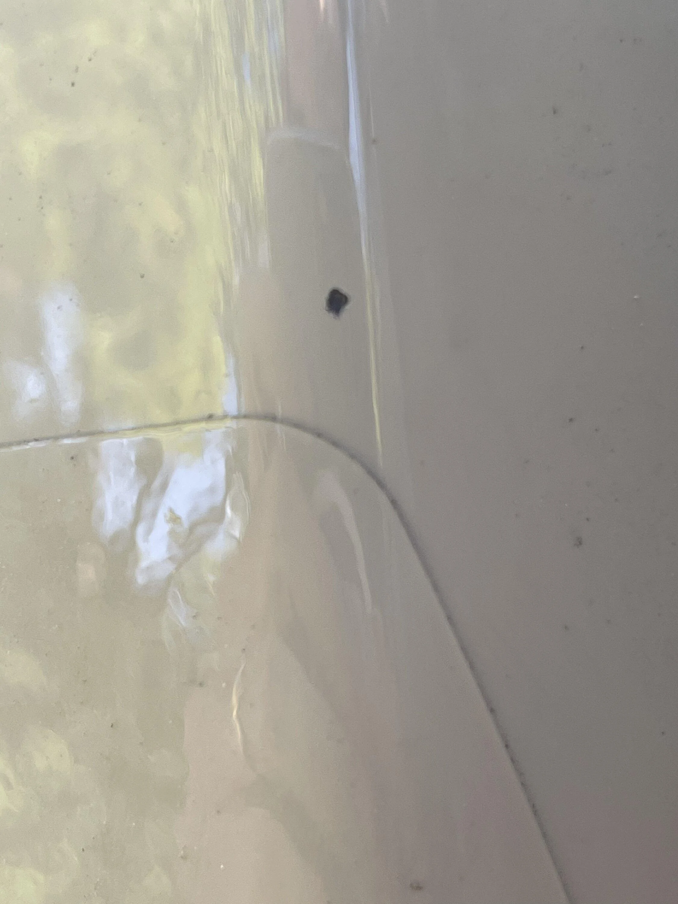 Jeep Gladiator Help with paint chipping from rocks 237B6C91-87D5-4BB6-9097-8DEFA1E00E44