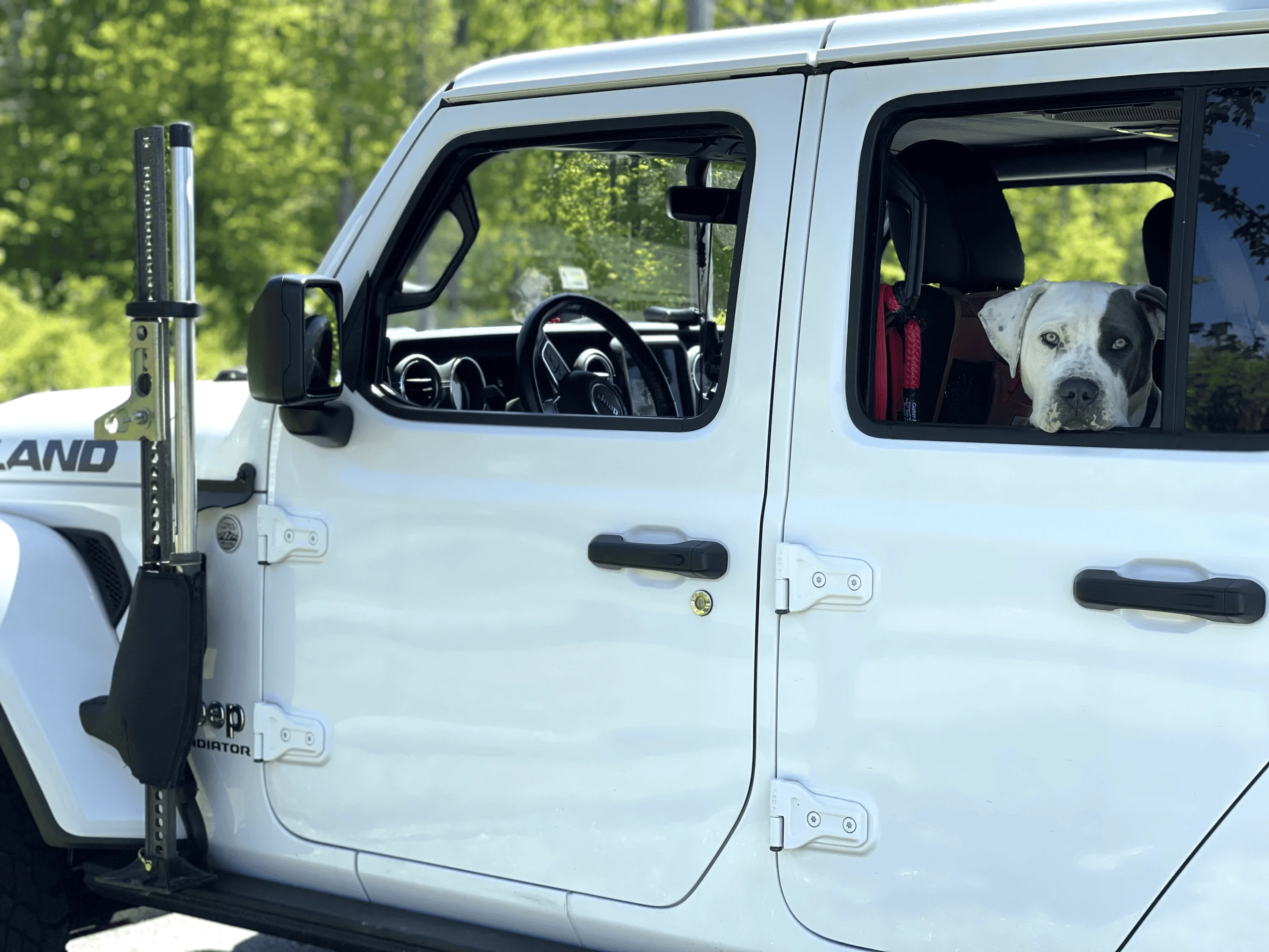 Jeep Gladiator Let’s see your pets cause they are the best companion you can have!!!!! tempImagedUxEgj